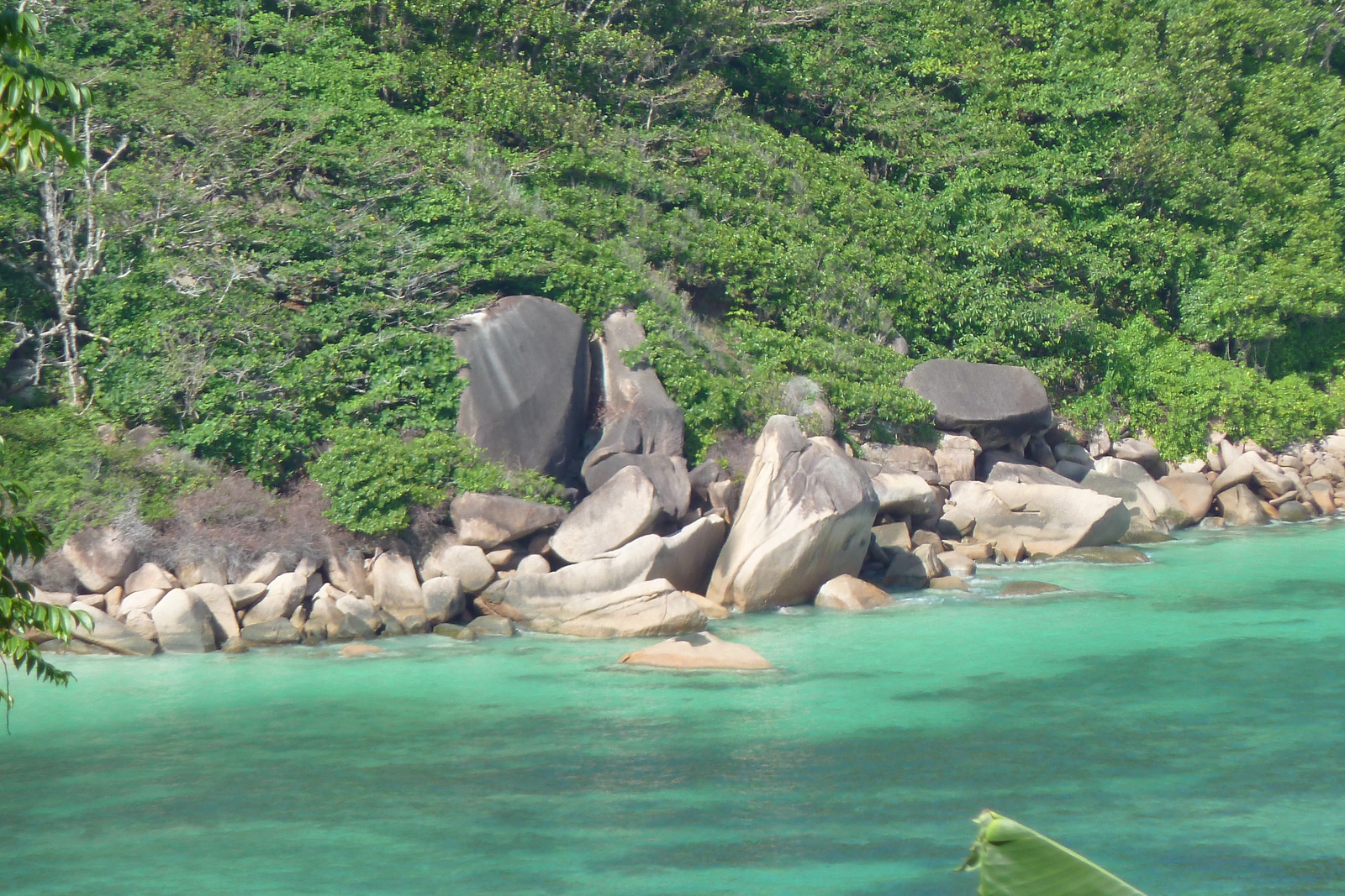 รูปถ่าย เซเชลส์(Seychelles) เกาะปราลิน(Praslin) 2011-10 145