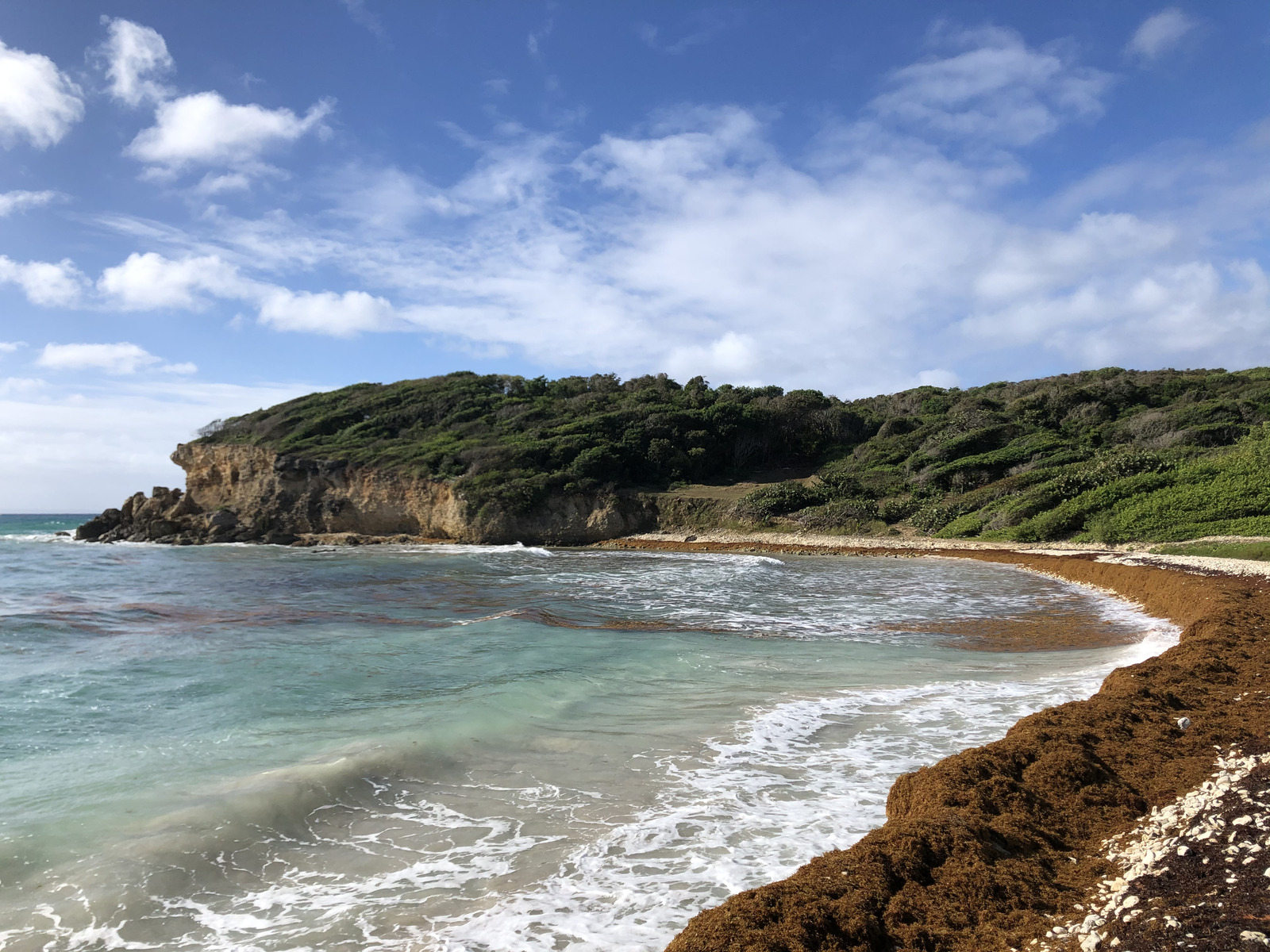 รูปถ่าย กวาเดอลูป(Guadeloupe) แซ็งตาน(Sainte Anne) 2021-02 12