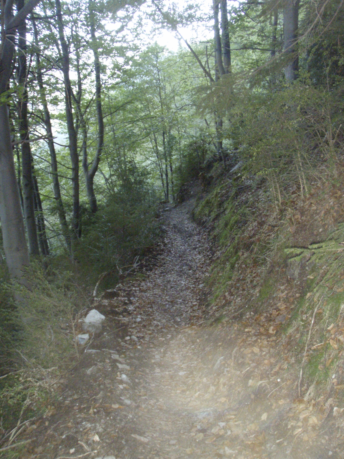 รูปถ่าย ฝรั่งเศส(France) วิคเดสโซ(Vicdessos) เส้นทางปีนผาเวียแฟร์ราตาด้านเหนือ(Via Ferrata North) 2007-08 40
