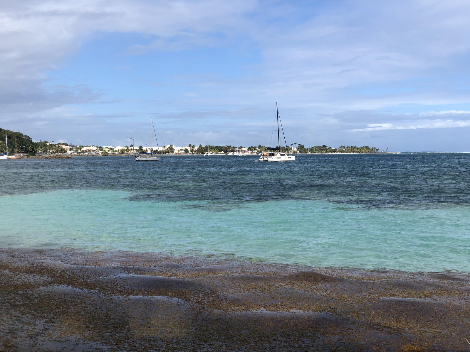 รูปถ่าย กวาเดอลูป(Guadeloupe) หาดลาการาแวล(La Caravelle Beach) 2021-02 22