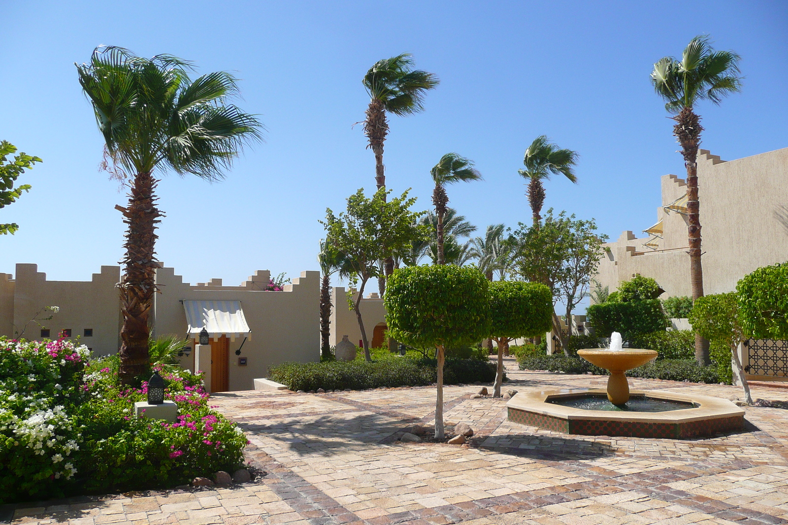 รูปถ่าย อียิปต์(Egypt) ชาร์มเอลชีค(Sharm el Sheikh) โรงแรมโฟร์ซีซันส์(Four Seasons Hotel) 2008-06 48