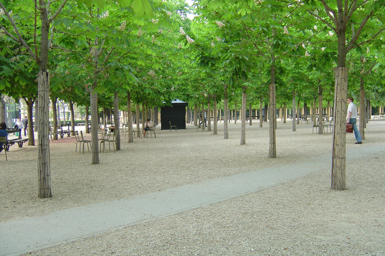 รูปถ่าย ฝรั่งเศส(France) ปารีส(Paris) สวนลักเซมเบิร์ก(Luxembourg Garden) 2007-04 95