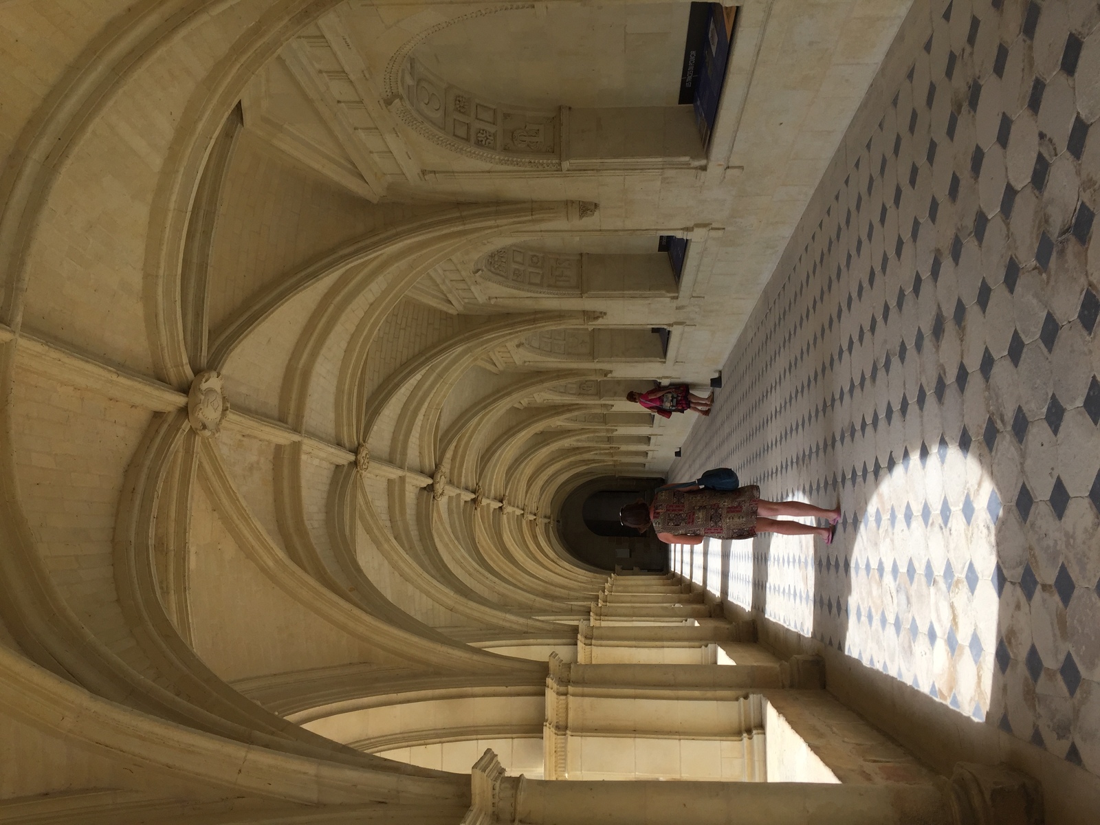 รูปถ่าย ฝรั่งเศส(France) แอบบีหลวงฟงเตอโวร์(Abbaye Royale de Fontevraud) 2017-08 6