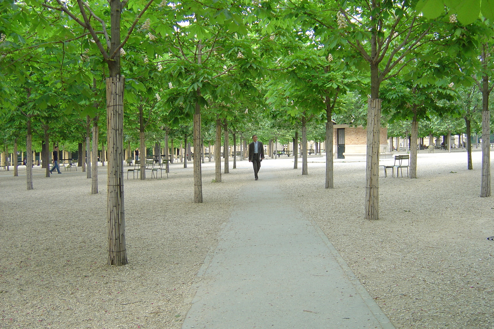 รูปถ่าย ฝรั่งเศส(France) ปารีส(Paris) สวนลักเซมเบิร์ก(Luxembourg Garden) 2007-04 101