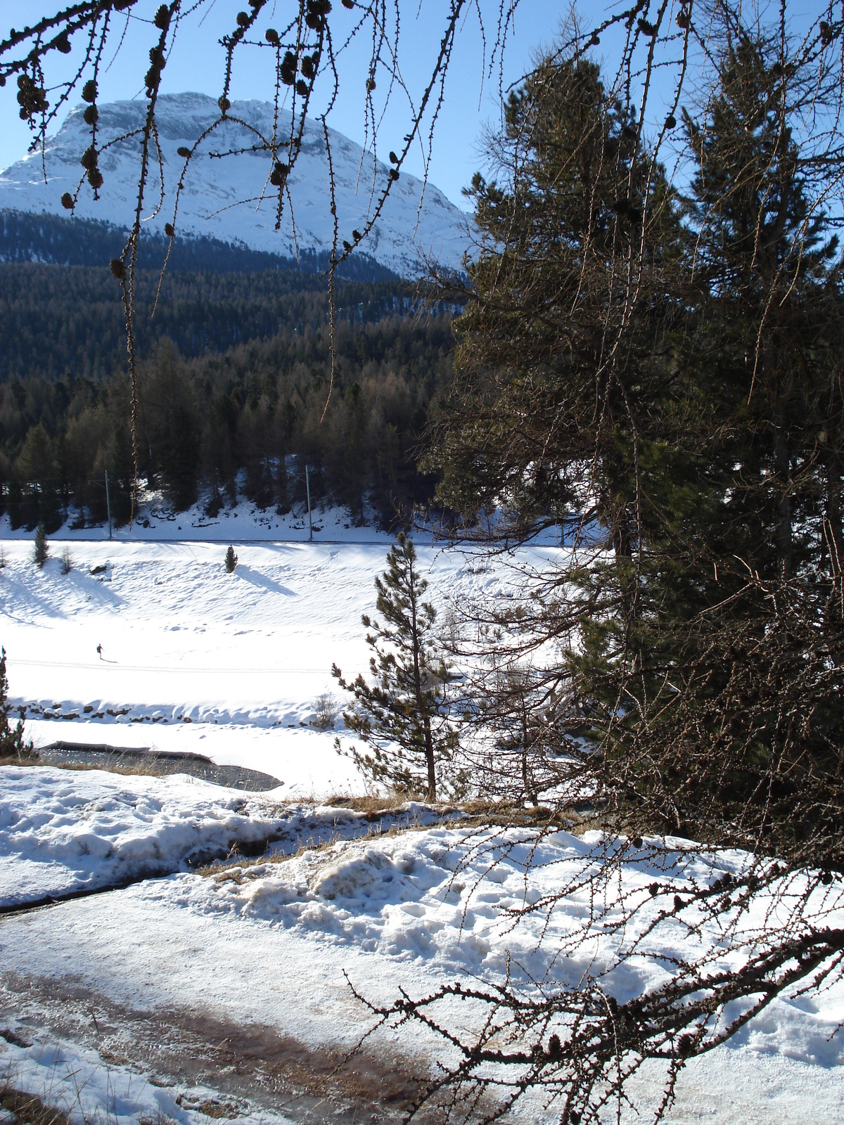 รูปถ่าย สวิสเซอร์แลนด์(Switzerland) ปองเทรซีน่า(Pontresina) 2007-01 15