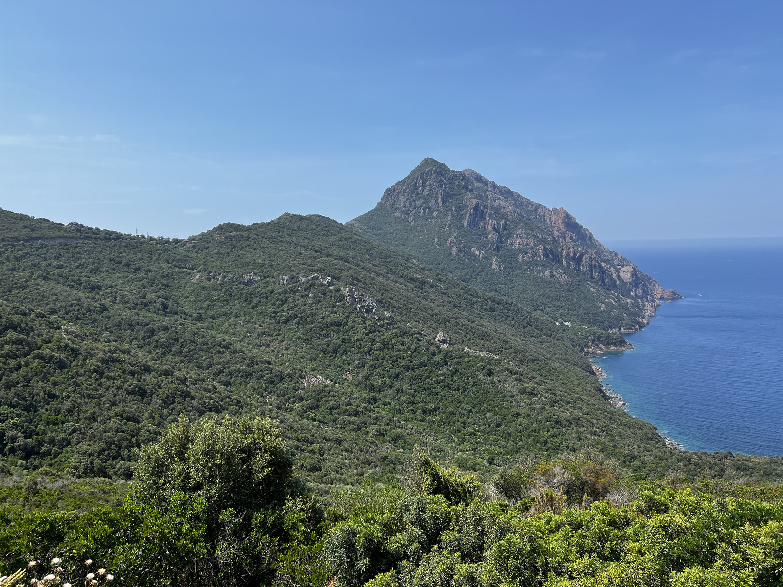 รูปถ่าย ฝรั่งเศส(France) คอร์สิคา(Corsica) โอซานี(Osani) 2023-06 5