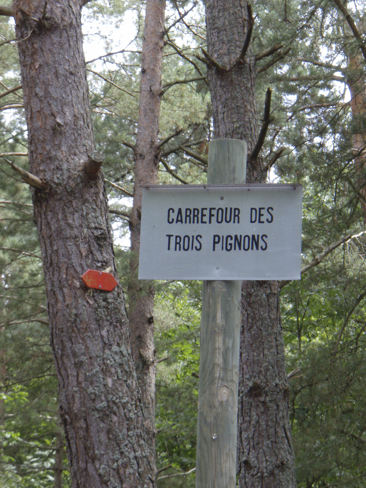 รูปถ่าย ฝรั่งเศส(France) ฟงเทนโบล(Fontainebleau) ทัวร์ป่า(Circuit des 25 bosses) 2007-08 167