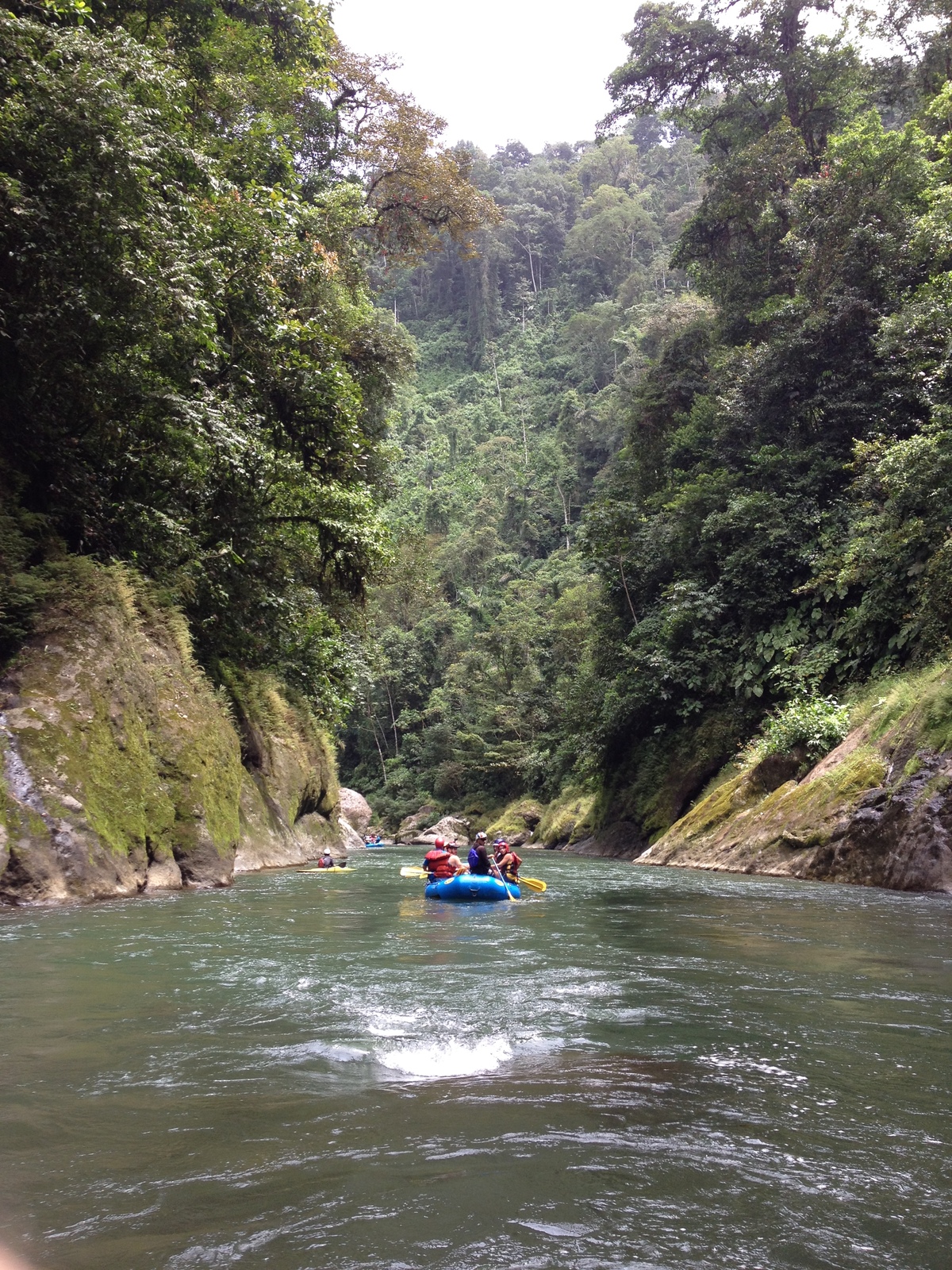 รูปถ่าย คอสตาริกา(Costa Rica) แม่น้ำปากัวเร(Pacuare River) 2015-03 77