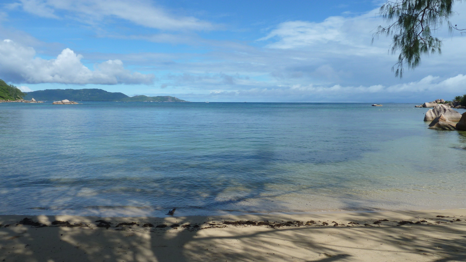 รูปถ่าย เซเชลส์(Seychelles) เกาะปราลิน(Praslin) 2011-10 157