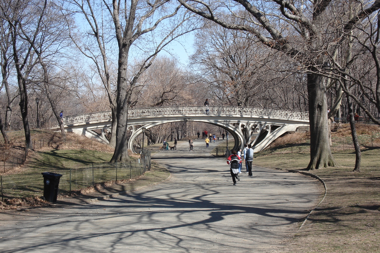 รูปถ่าย สหรัฐอเมริกา(United States) นิวยอร์ก(New York) เซ็นทรัลพาร์ก(Central Park) 2006-03 45