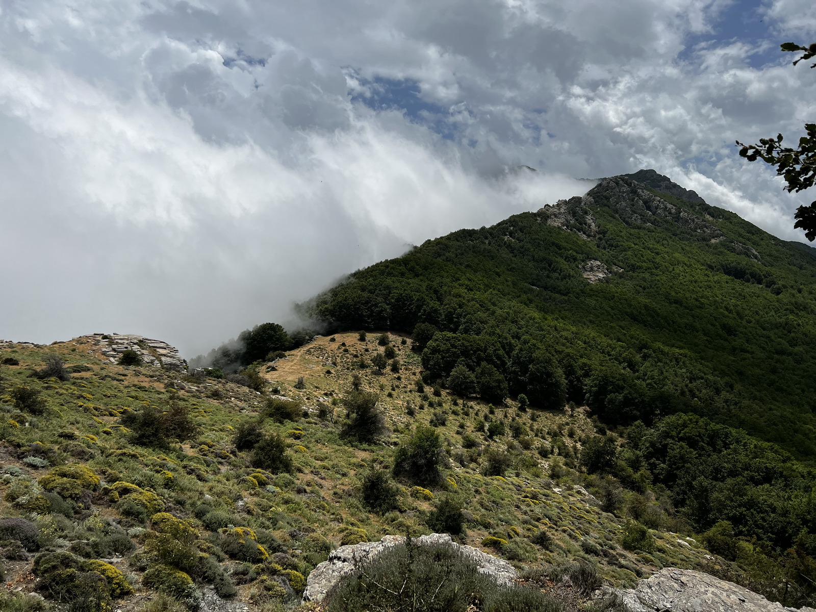 รูปถ่าย ฝรั่งเศส(France) คอร์สิคา(Corsica) ที่พักกัลเลรุชชู(Refuge de Callerucciu) 2022-06 49