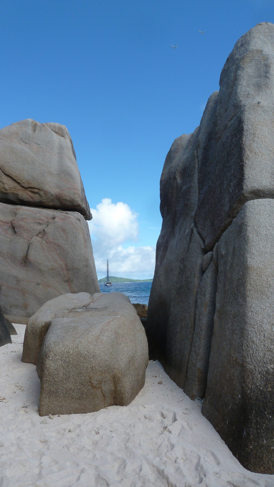 รูปถ่าย เซเชลส์(Seychelles) เกาะโกโก้(Coco Island) 2011-10 56