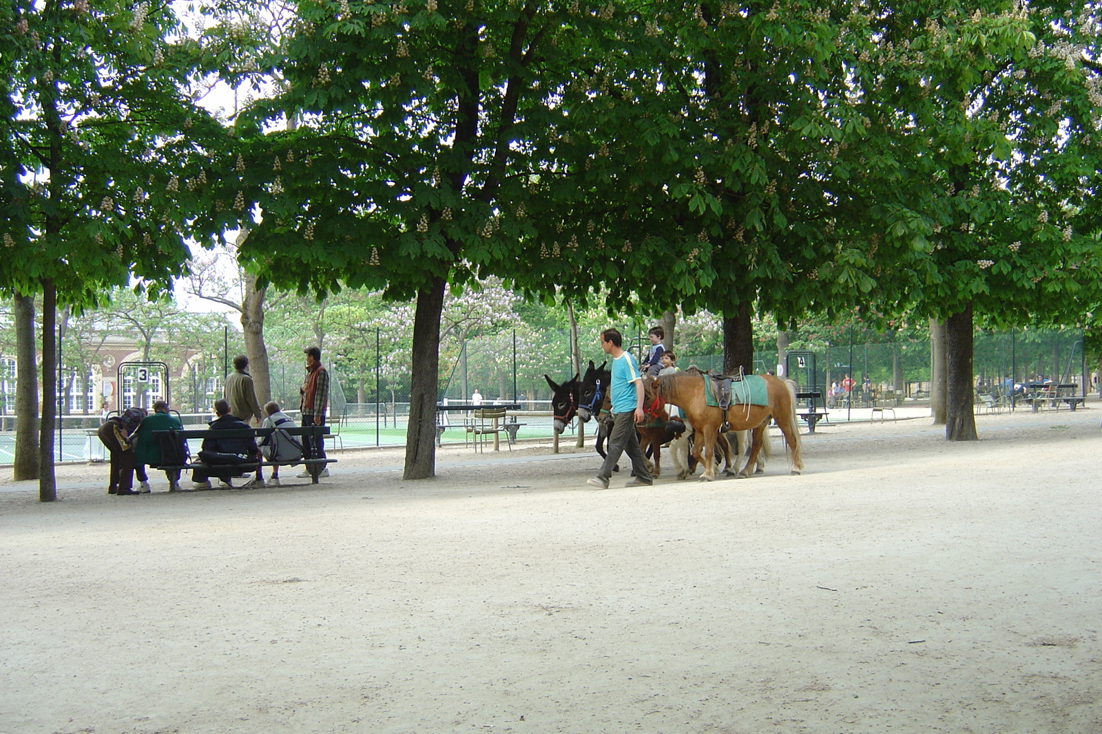 รูปถ่าย ฝรั่งเศส(France) ปารีส(Paris) สวนลักเซมเบิร์ก(Luxembourg Garden) 2007-04 33