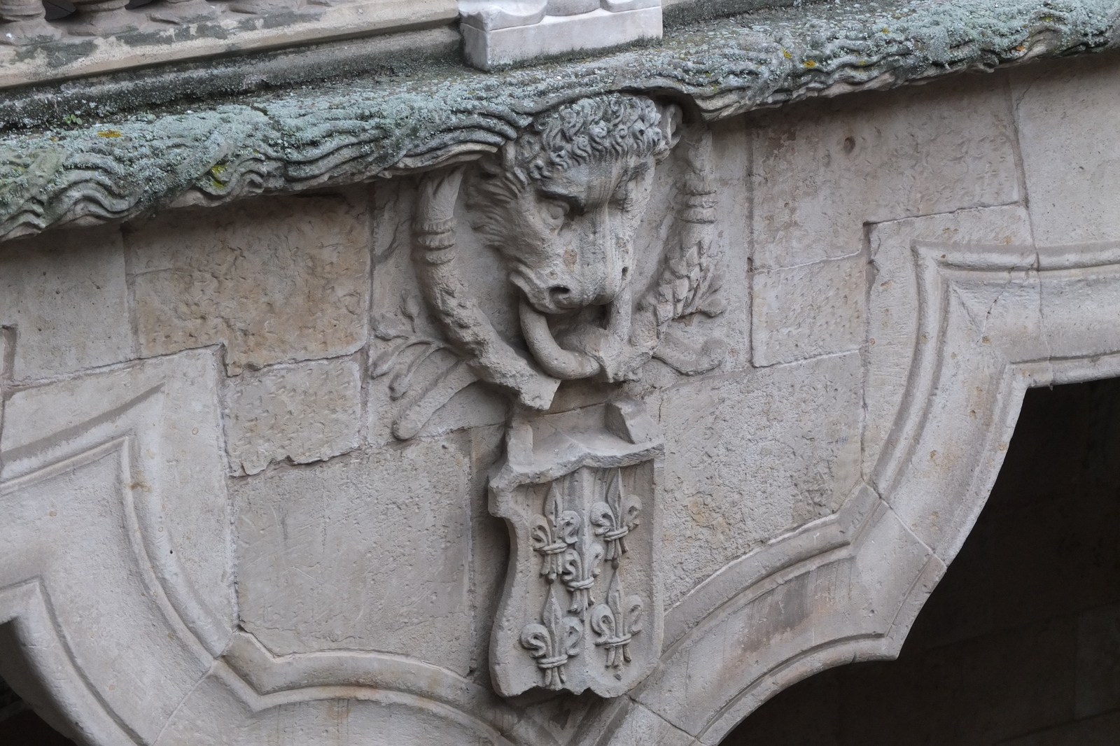 รูปถ่าย สเปน(Spain) ซาลามังกา(Salamanca) 2013-01 171