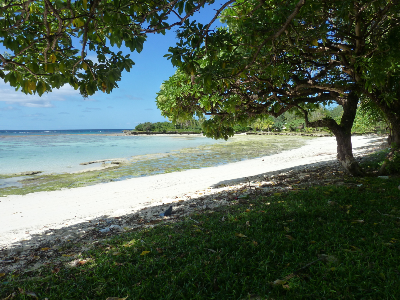รูปถ่าย นิวแคลิโดเนีย(New Caledonia) เกาะลีฟู(Lifou) หมู่บ้านมู(Mu) 2010-05 20