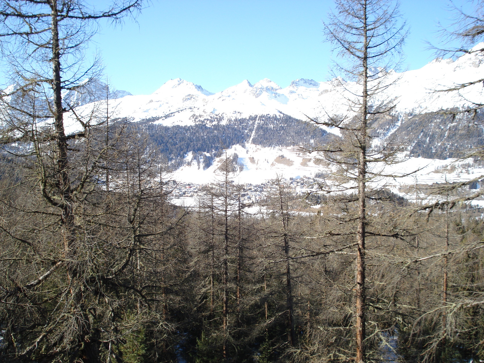 รูปถ่าย สวิสเซอร์แลนด์(Switzerland) มุตตัสมูรากล์(Muottas Muragl) 2007-01 36