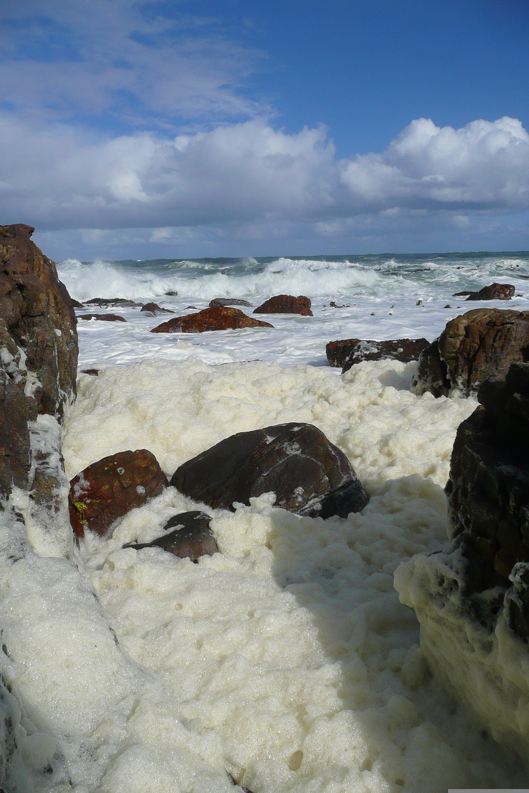 รูปถ่าย แอฟริกาใต้(South Africa) แหลมกู๊ดโฮป(Cape of Good Hope) แหลมเคปพอยต์(Cape Point) 2008-09 67