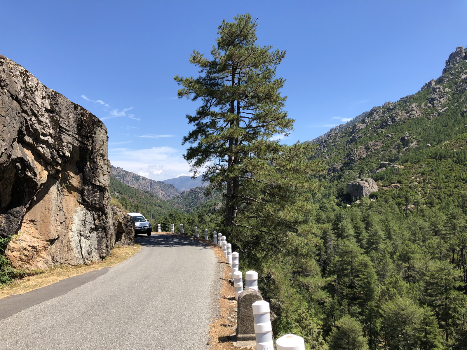 รูปถ่าย ฝรั่งเศส(France) คอร์สิคา(Corsica) หุบเขาลาเรสโตนีกา(La Restonica) 2020-07 36
