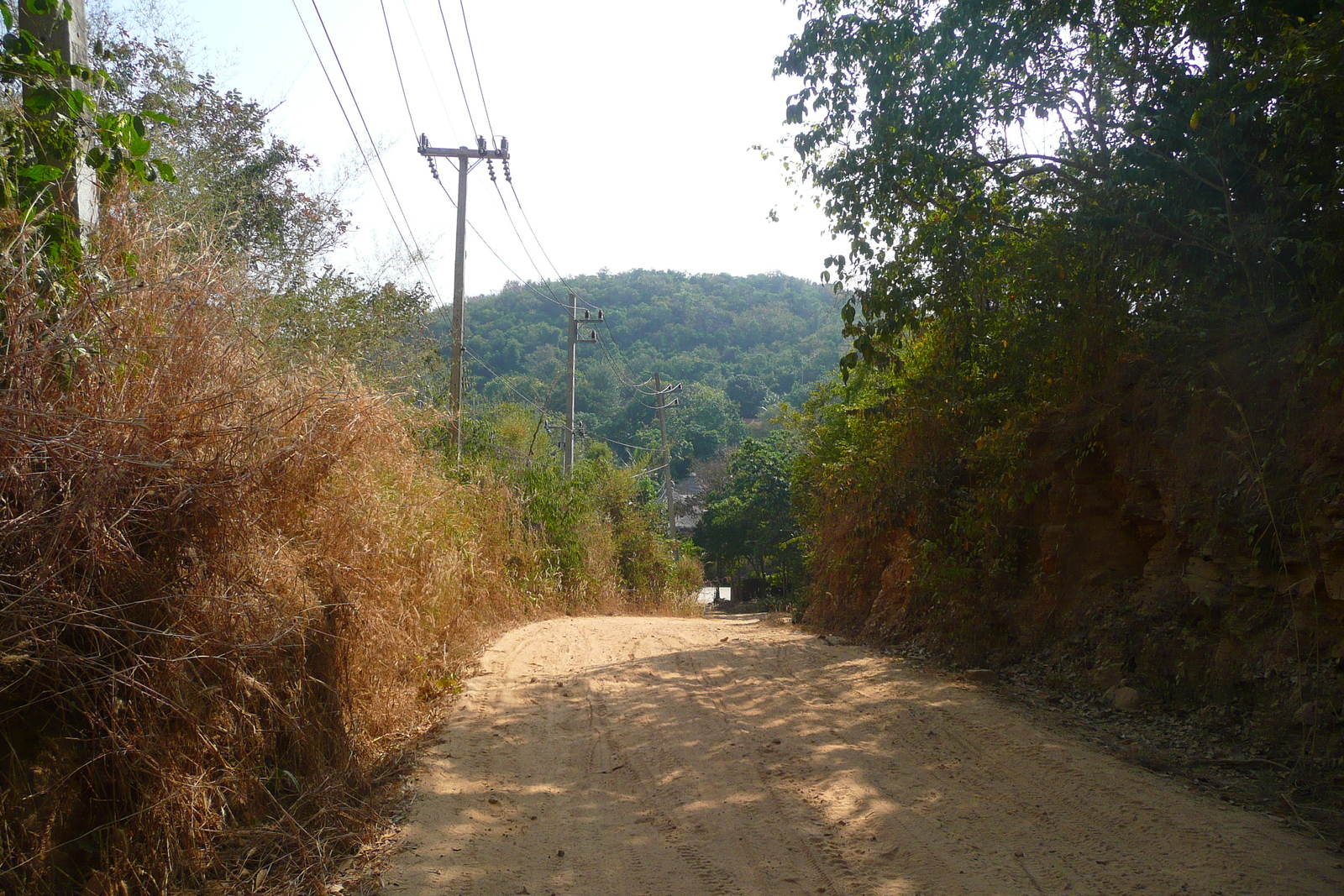 รูปถ่าย ไทย(Thailand) เกาะเสม็ด(Ko Samet) 2009-01 42