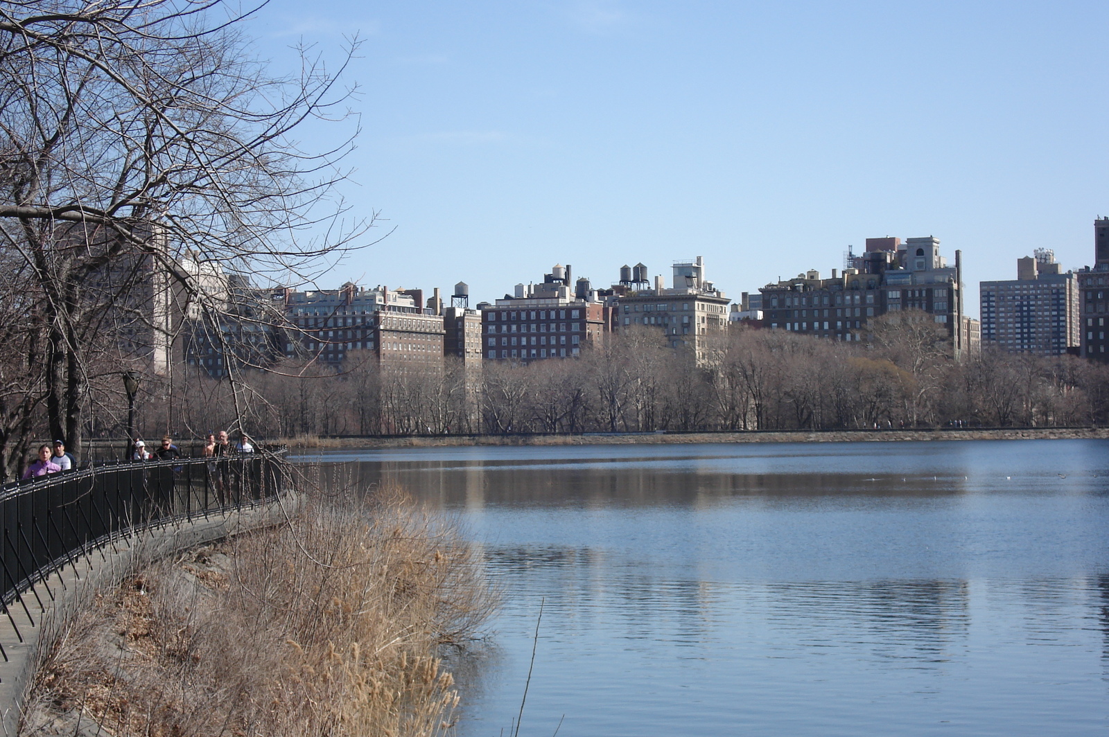 รูปถ่าย สหรัฐอเมริกา(United States) นิวยอร์ก(New York) เซ็นทรัลพาร์ก(Central Park) 2006-03 34