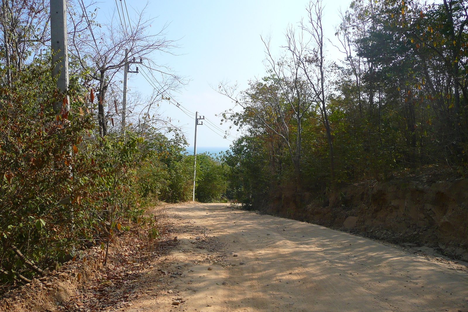 รูปถ่าย ไทย(Thailand) เกาะเสม็ด(Ko Samet) 2009-01 69
