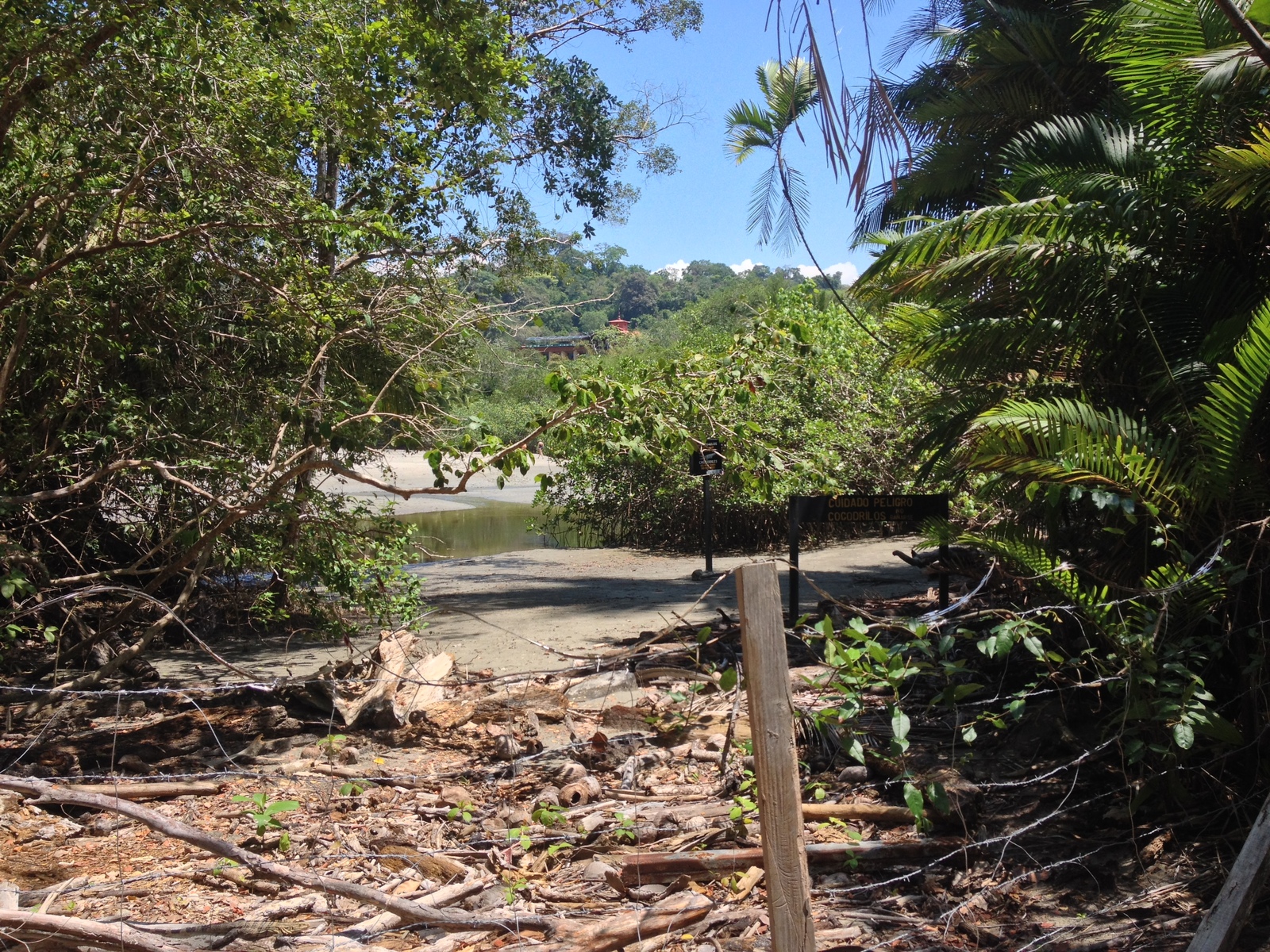 รูปถ่าย คอสตาริกา(Costa Rica) มานวยล์อันโตนีโอ(Manuel Antonio) 2015-03 496