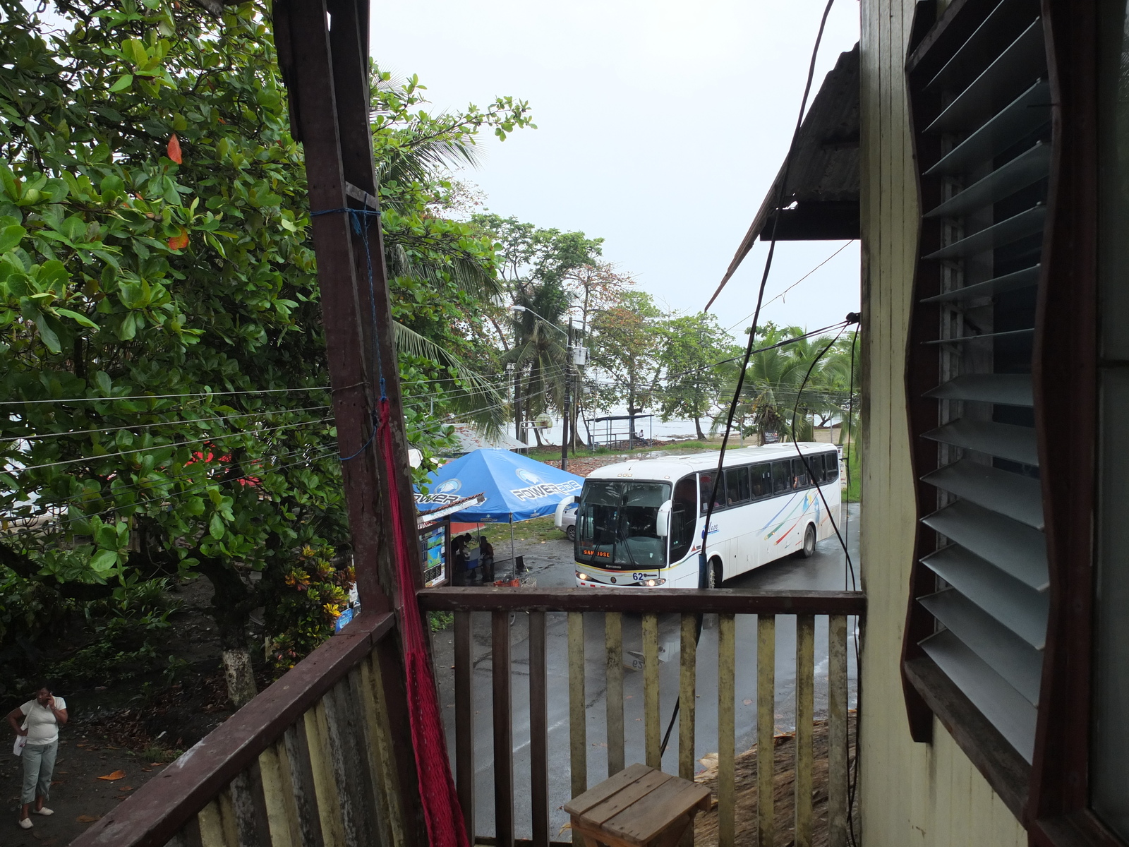 รูปถ่าย คอสตาริกา(Costa Rica) ปวยร์โตเบียโฆเดตาลามังกา(Puerto Viejo de Talamanca) 2015-03 44