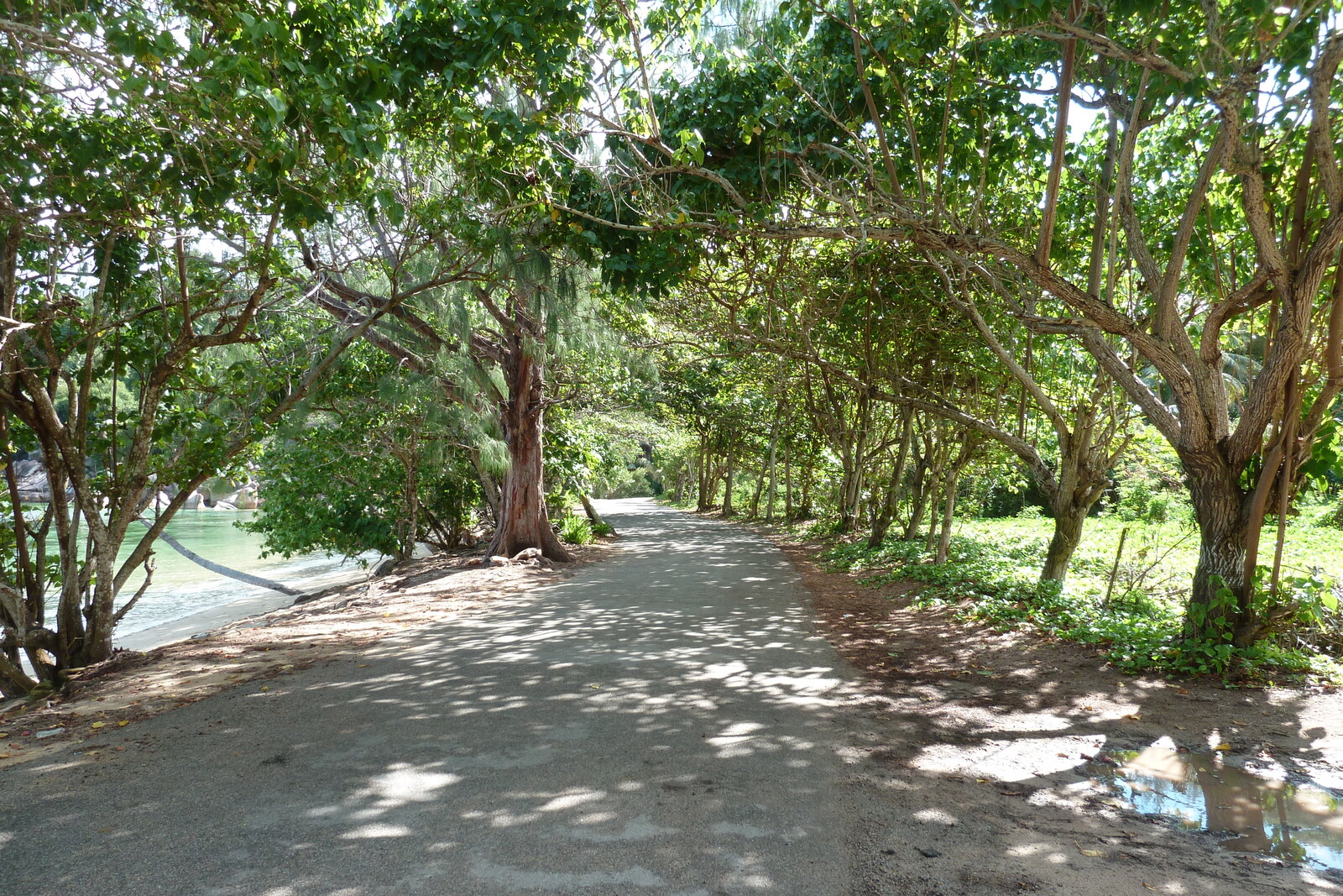 รูปถ่าย เซเชลส์(Seychelles) เกาะปราลิน(Praslin) 2011-10 55