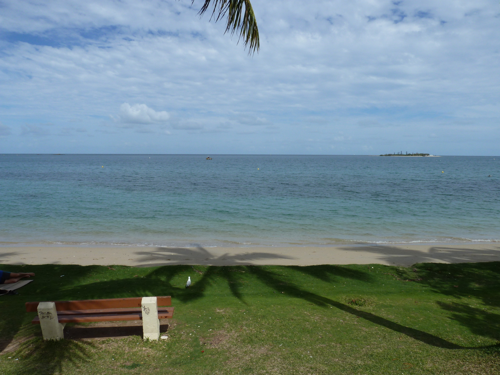 รูปถ่าย นิวแคลิโดเนีย(New Caledonia) นูเมอา(Noumea) อ่าวอ็องส์วาตา(Anse Vata) 2010-05 8