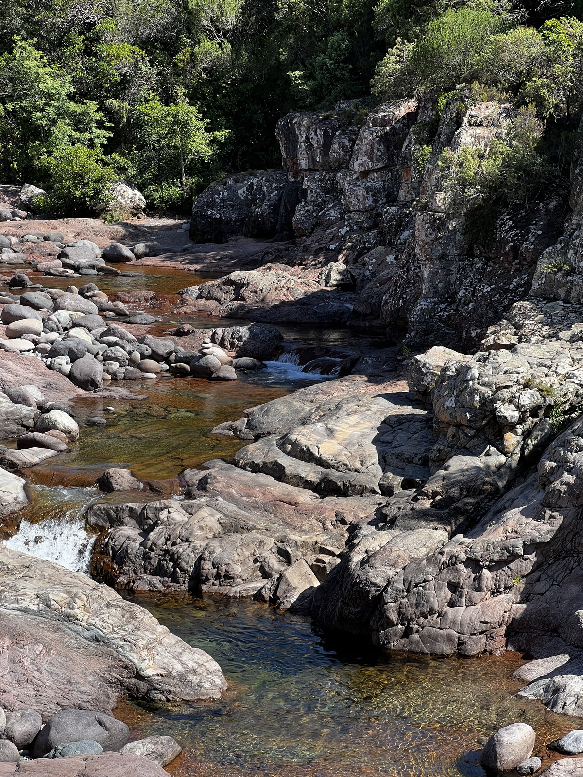 รูปถ่าย ฝรั่งเศส(France) คอร์สิคา(Corsica) แม่น้ำฟังโก(Fango river) 2022-06 32