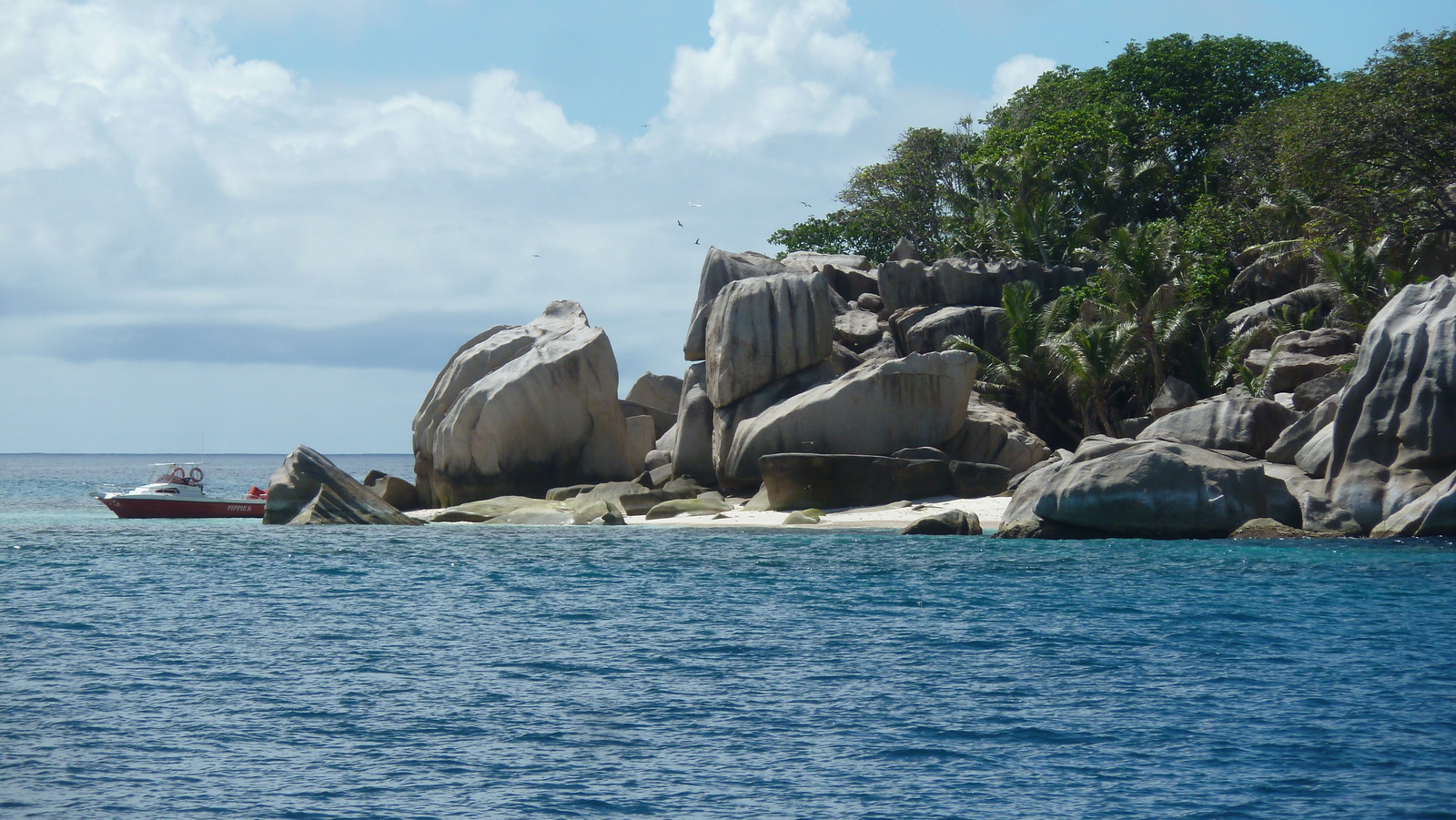 รูปถ่าย เซเชลส์(Seychelles) เกาะโกโก้(Coco Island) 2011-10 50