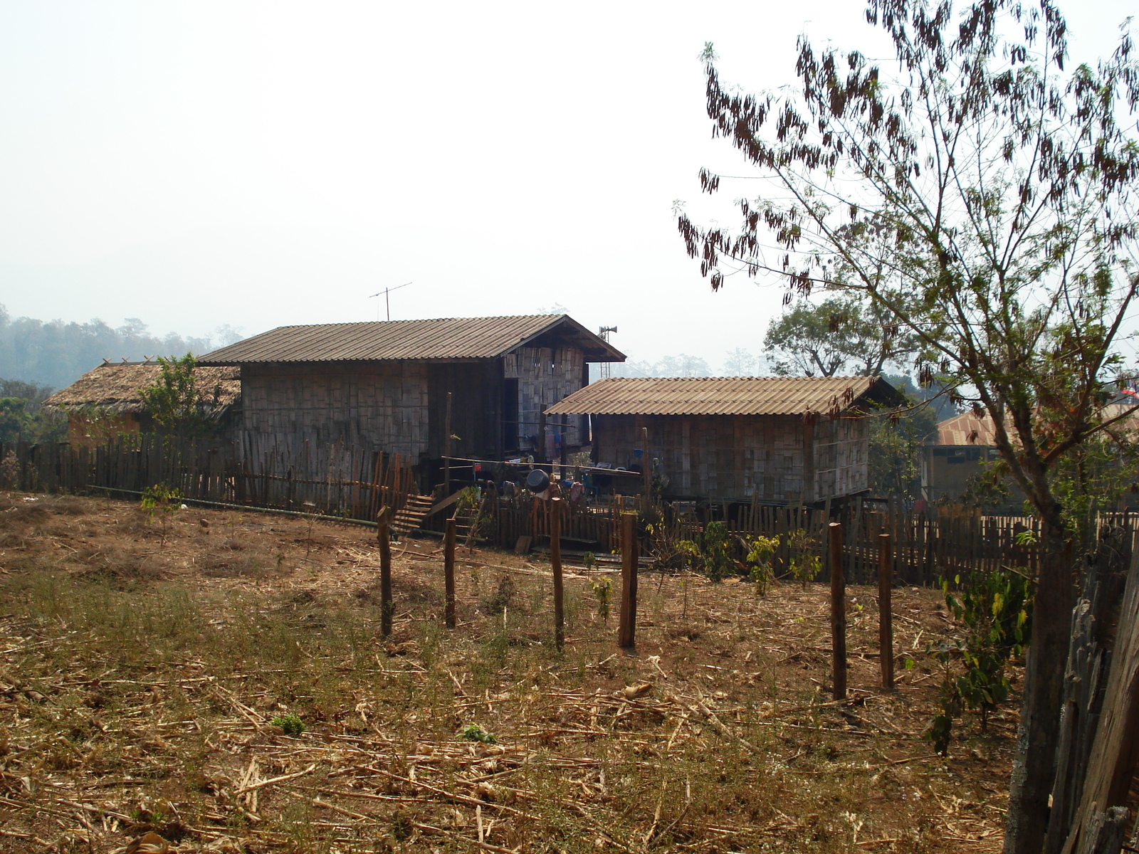 รูปถ่าย ไทย(Thailand) ปางมะผ้า(Pang Mapha) 2007-02 21
