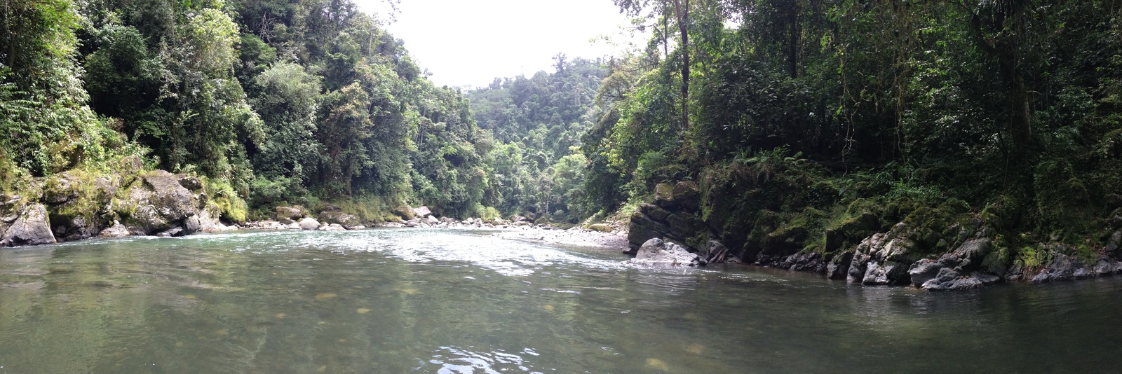 รูปถ่าย คอสตาริกา(Costa Rica) แม่น้ำปากัวเร(Pacuare River) 2015-03 121