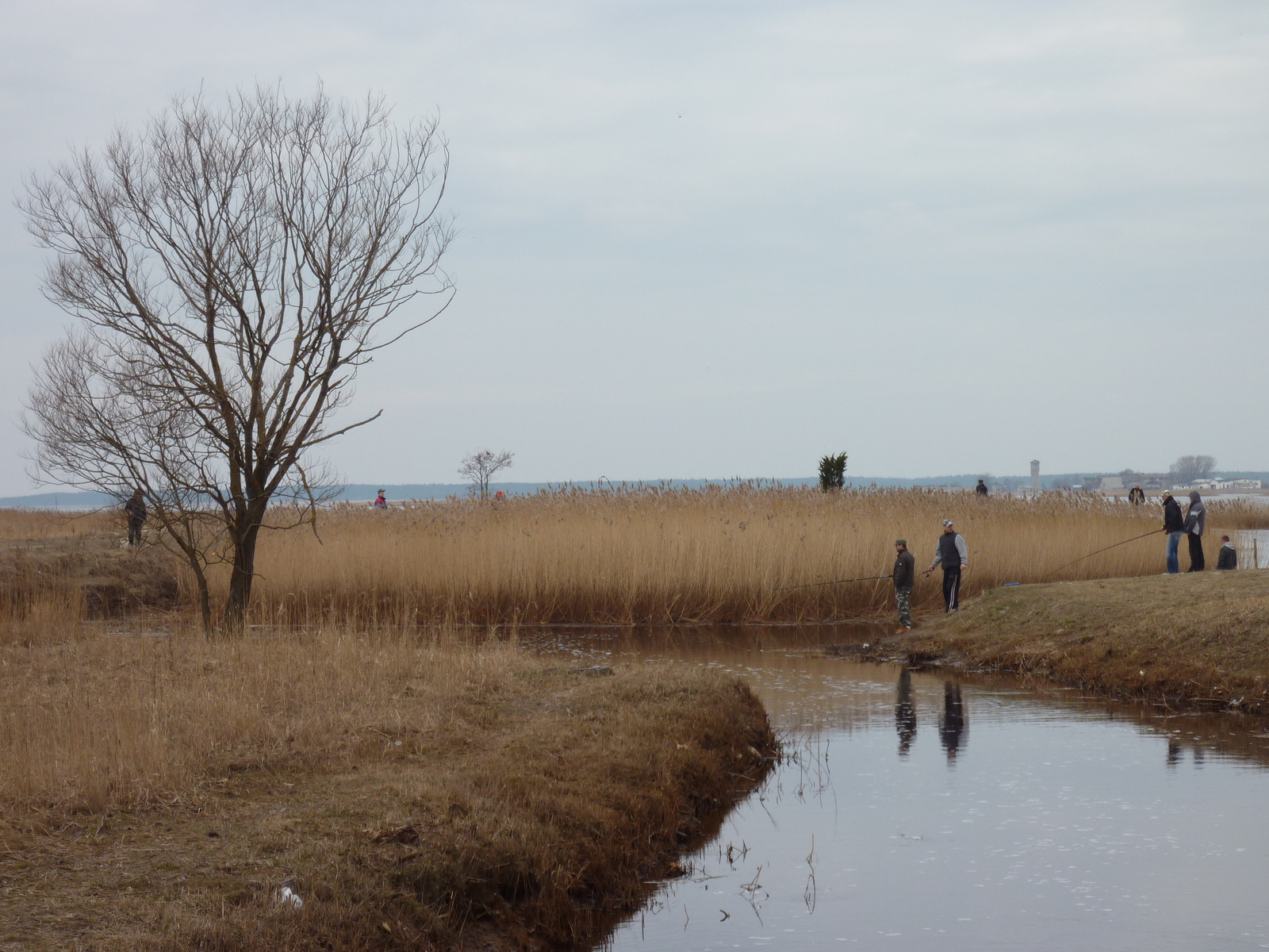 รูปถ่าย เอสโตเนีย(Estonia) ฮาปซาลู(Haapsalu) 2009-04 51
