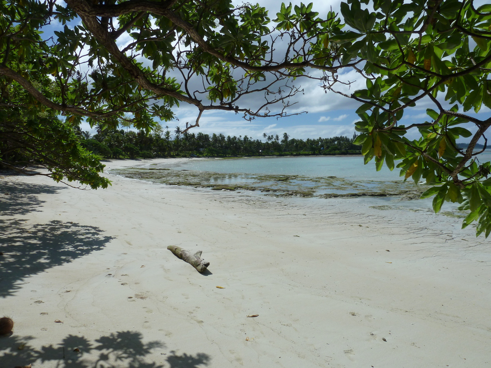 รูปถ่าย นิวแคลิโดเนีย(New Caledonia) เกาะลีฟู(Lifou) หมู่บ้านมู(Mu) 2010-05 32