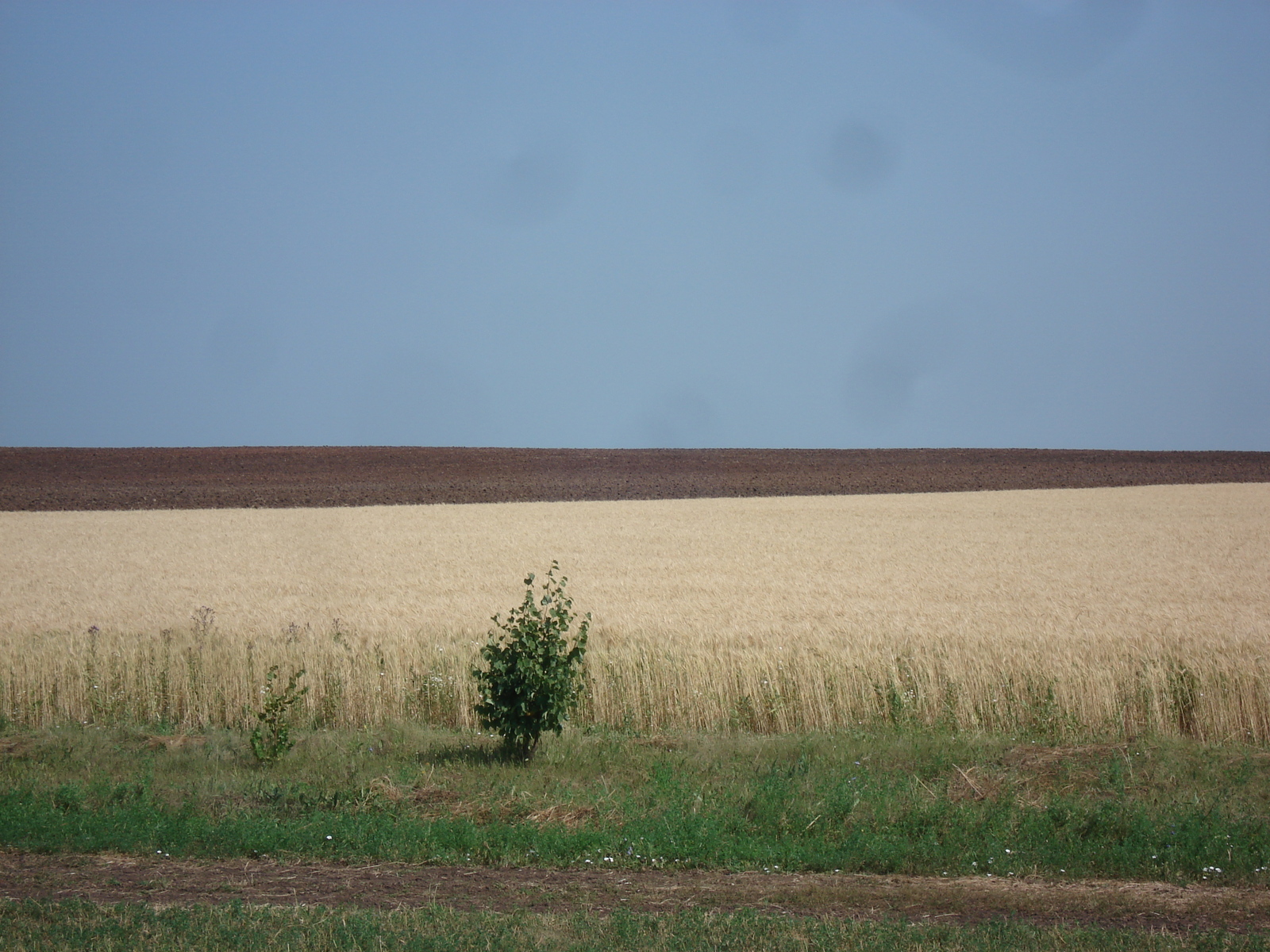 รูปถ่าย รัสเซีย(Russia) จากอูฟาไปคาซาน(From Ufa to Kazan) 2006-07 34