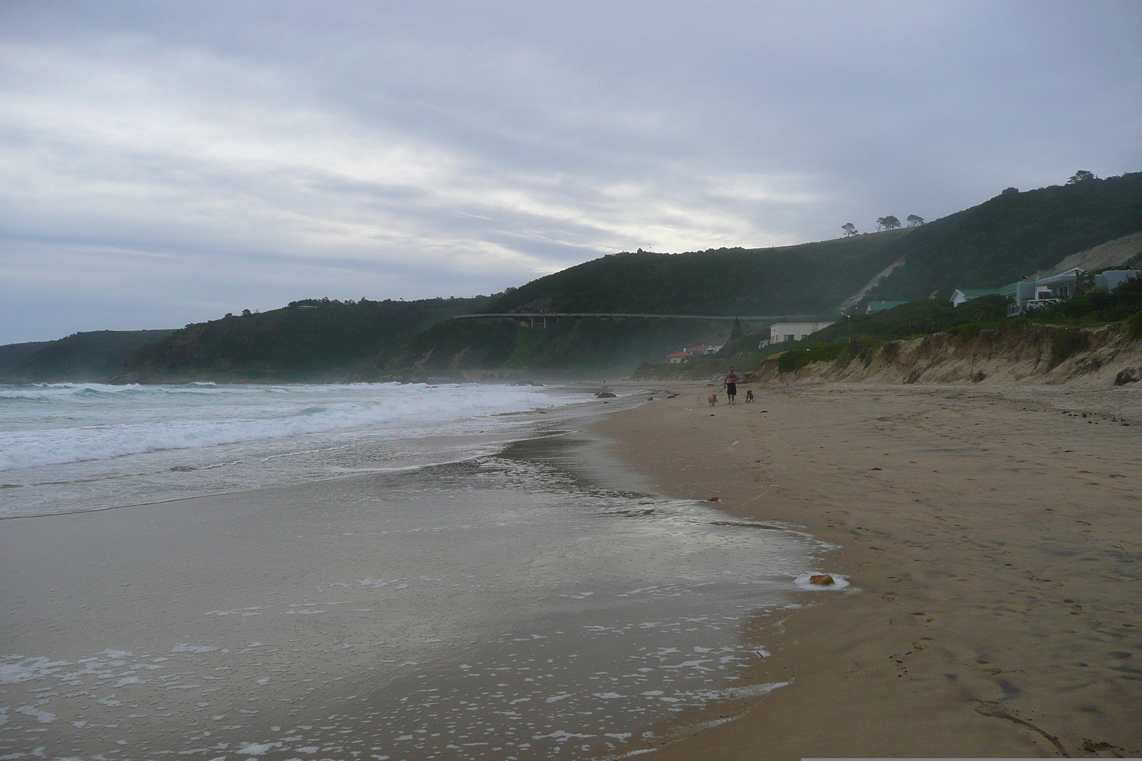 รูปถ่าย แอฟริกาใต้(South Africa) ถนนจากเฮอร์มานัสไปไนส์นา(Harmanus to Knysna road) 2008-09 140