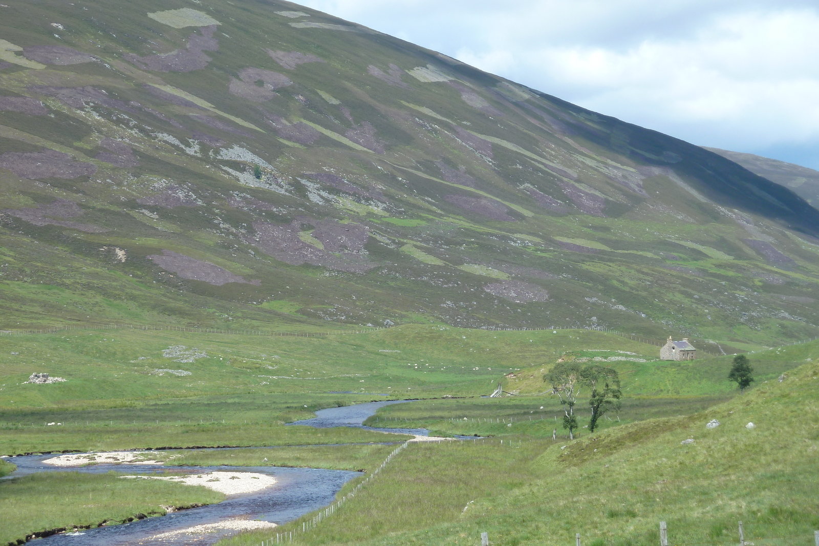 รูปถ่าย อังกฤษ(United Kingdom) อุทยานแห่งชาติแคร์นกอร์มส์(Cairngorms National Park) 2011-07 78
