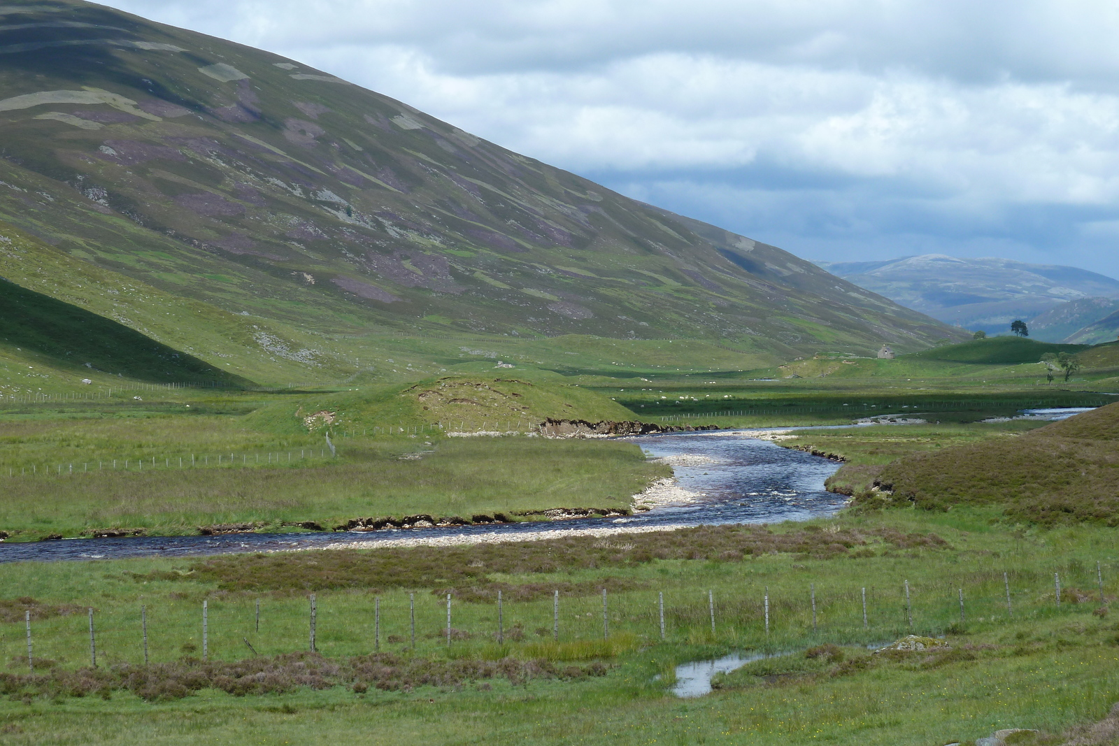 รูปถ่าย อังกฤษ(United Kingdom) อุทยานแห่งชาติแคร์นกอร์มส์(Cairngorms National Park) 2011-07 69