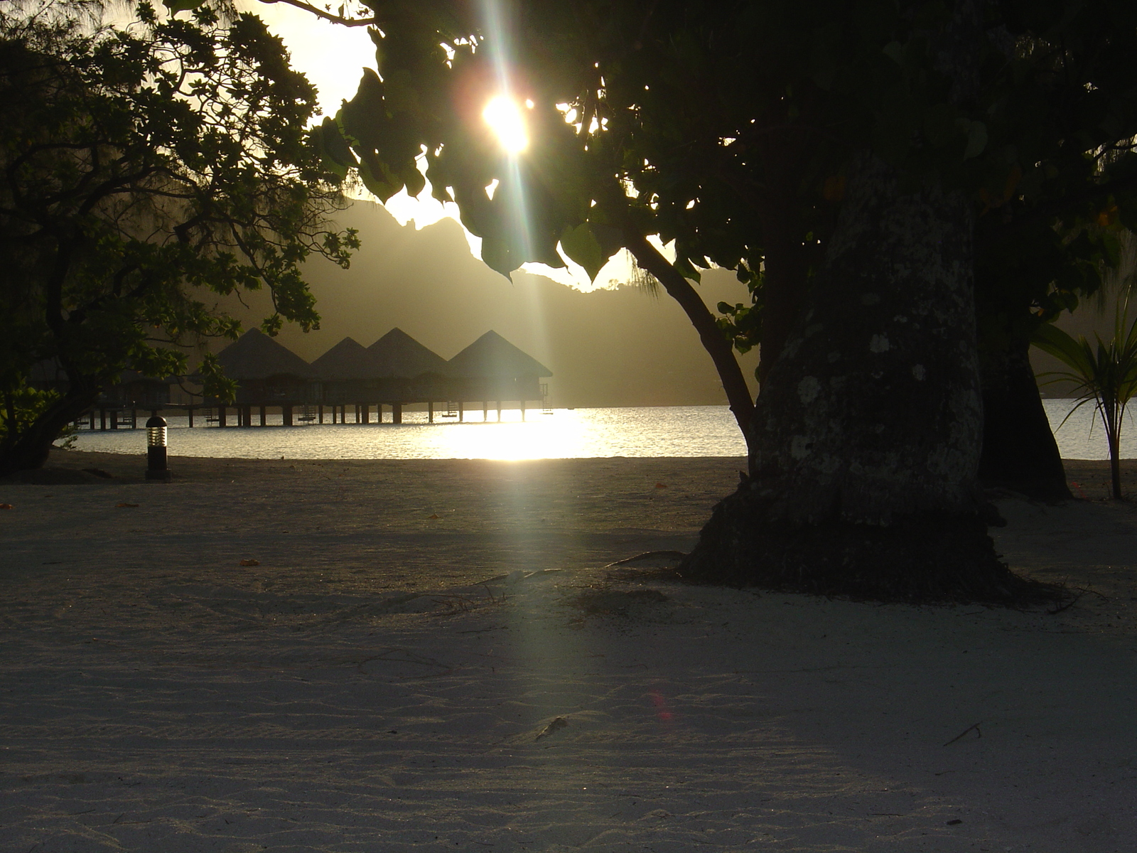 รูปถ่าย เฟรนช์โพลี่นีเซีย(Polynesia) โรงแรมเลอเมอริเดียน โบราโบรา(Meridien Bora Bora Hotel) 2006-04 229