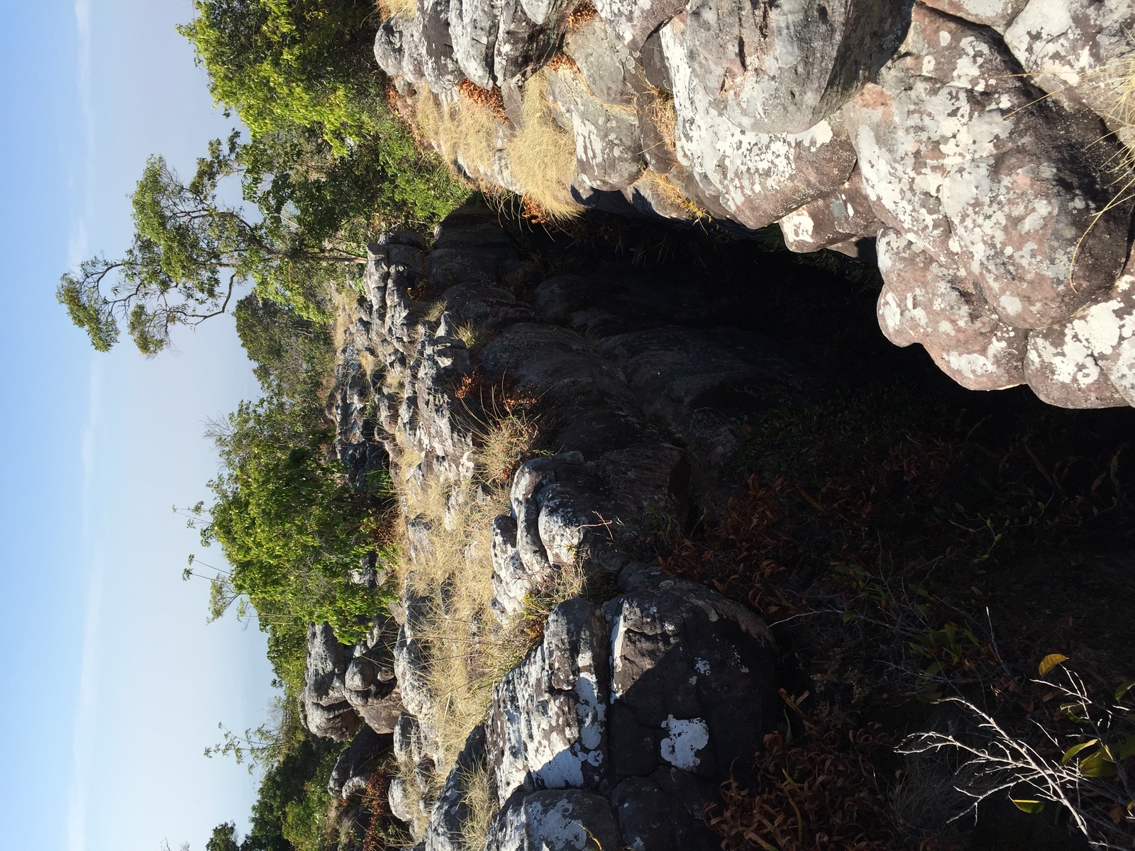 รูปถ่าย ไทย(Thailand) อุทยานแห่งชาติภูหินร่องกล้า(Phu Hin Rong Kla National Park) 2014-12 184