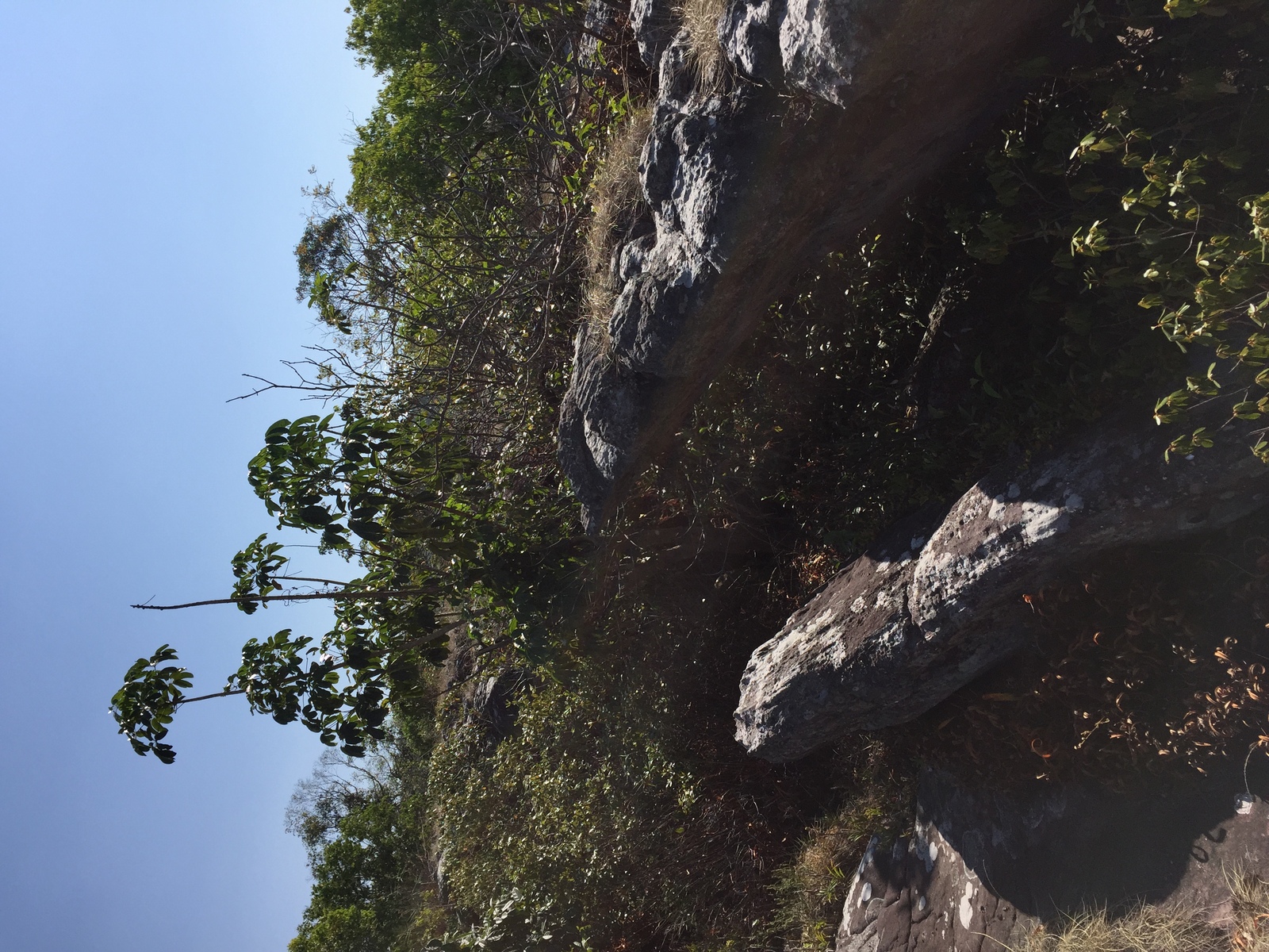 รูปถ่าย ไทย(Thailand) อุทยานแห่งชาติภูหินร่องกล้า(Phu Hin Rong Kla National Park) 2014-12 231