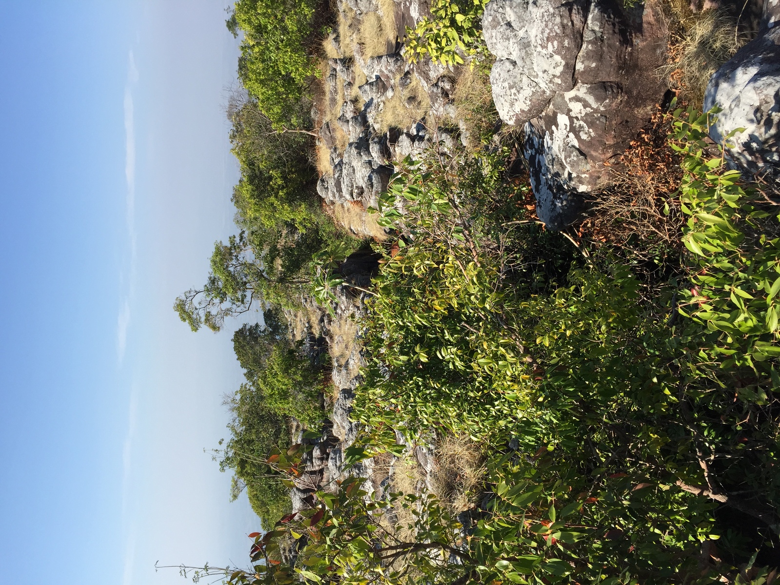 รูปถ่าย ไทย(Thailand) อุทยานแห่งชาติภูหินร่องกล้า(Phu Hin Rong Kla National Park) 2014-12 210