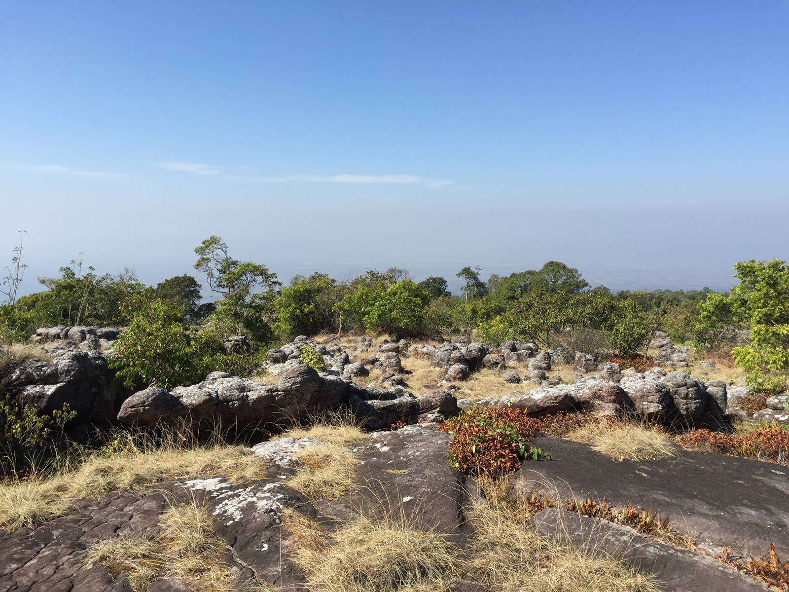 รูปถ่าย ไทย(Thailand) อุทยานแห่งชาติภูหินร่องกล้า(Phu Hin Rong Kla National Park) 2014-12 263