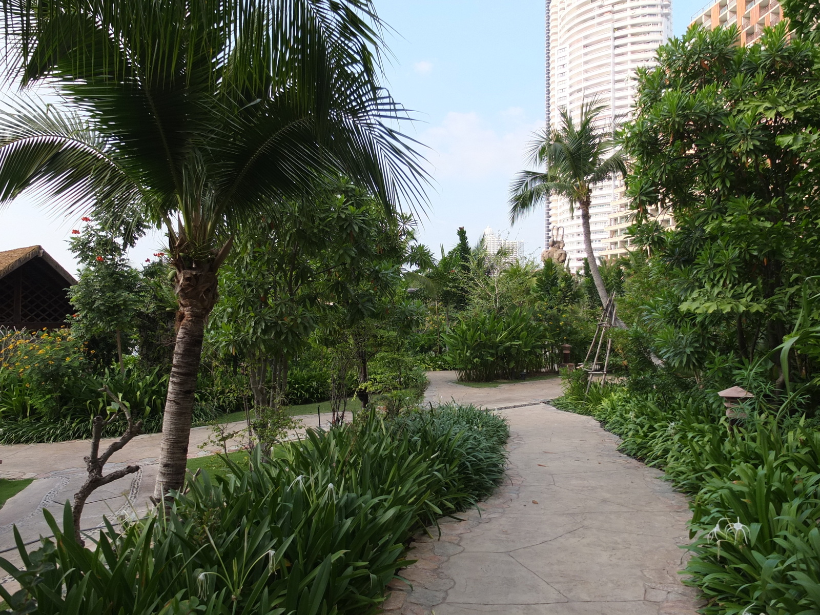 รูปถ่าย ไทย(Thailand) พัทยา(Pattaya) โรงแรมเซ็นทารา(Centara Hotel) 2011-12 54