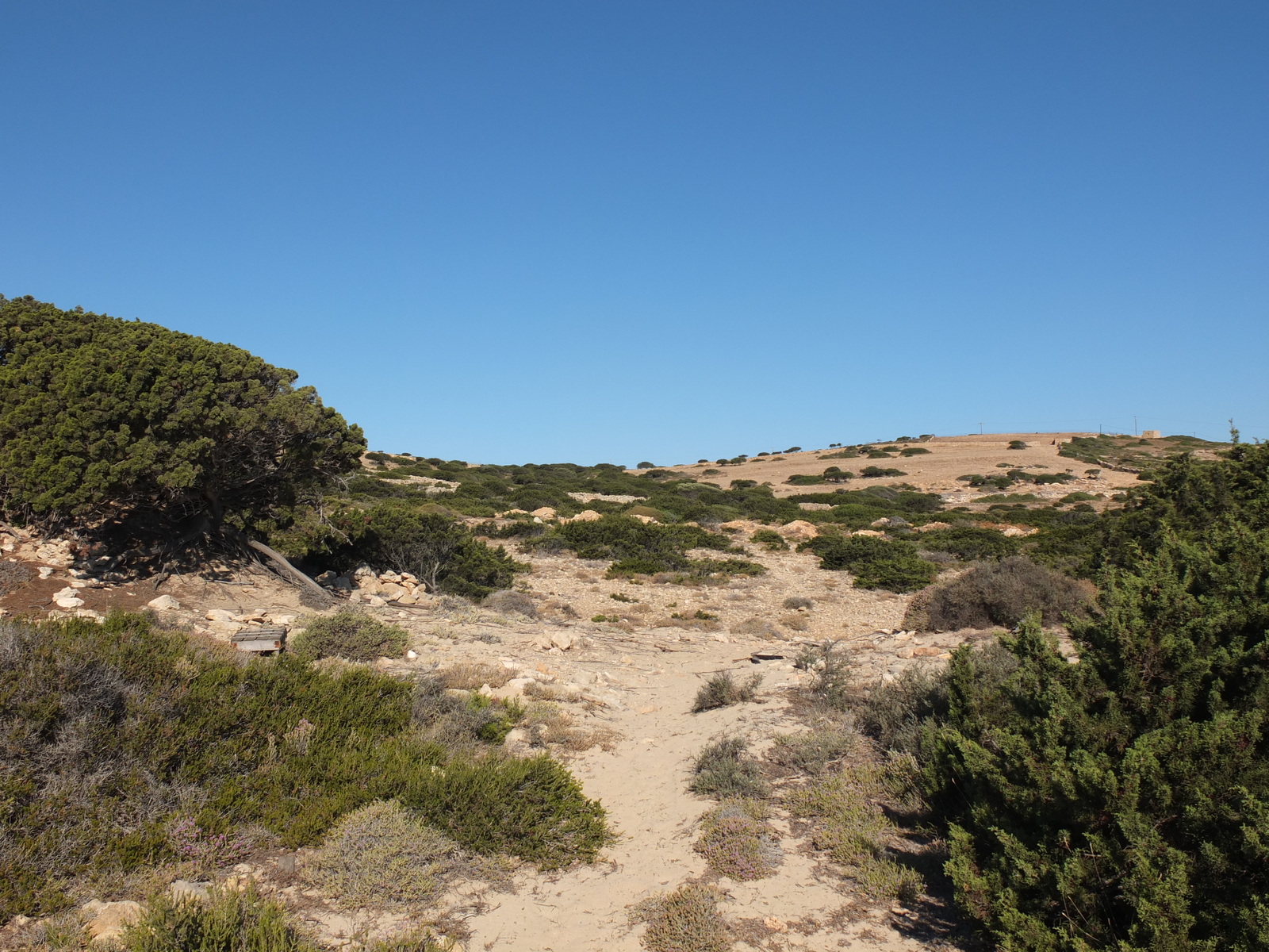 รูปถ่าย กรีก(Greece) เกาะคูโฟนิสเซีย(Koufonissia) 2014-07 392