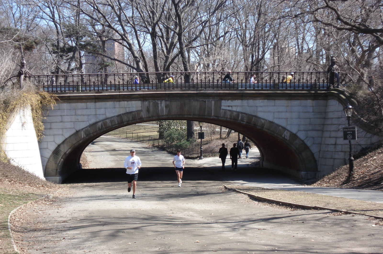 รูปถ่าย สหรัฐอเมริกา(United States) นิวยอร์ก(New York) เซ็นทรัลพาร์ก(Central Park) 2006-03 4