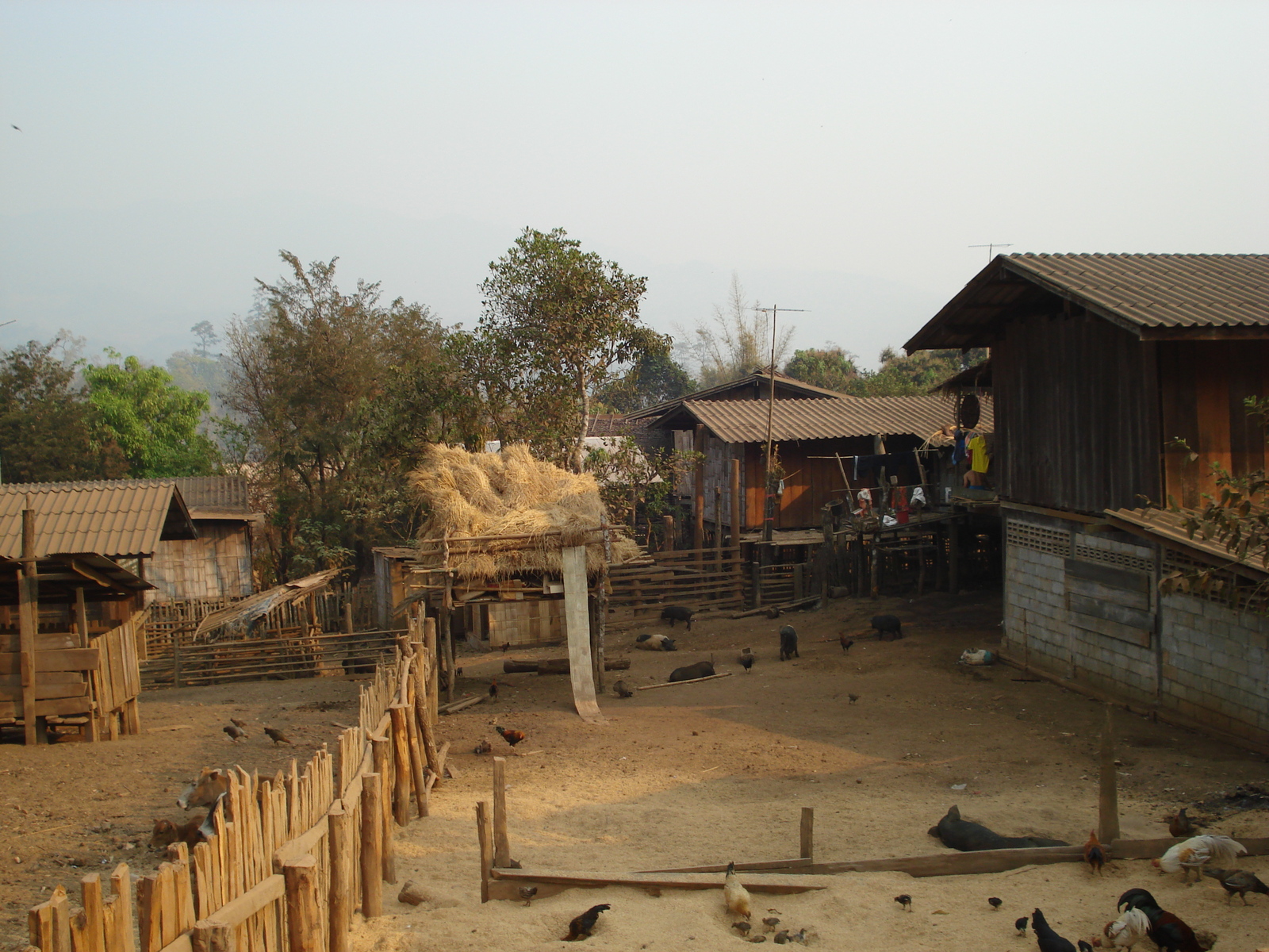 รูปถ่าย ไทย(Thailand) ปางมะผ้า(Pang Mapha) 2007-02 39