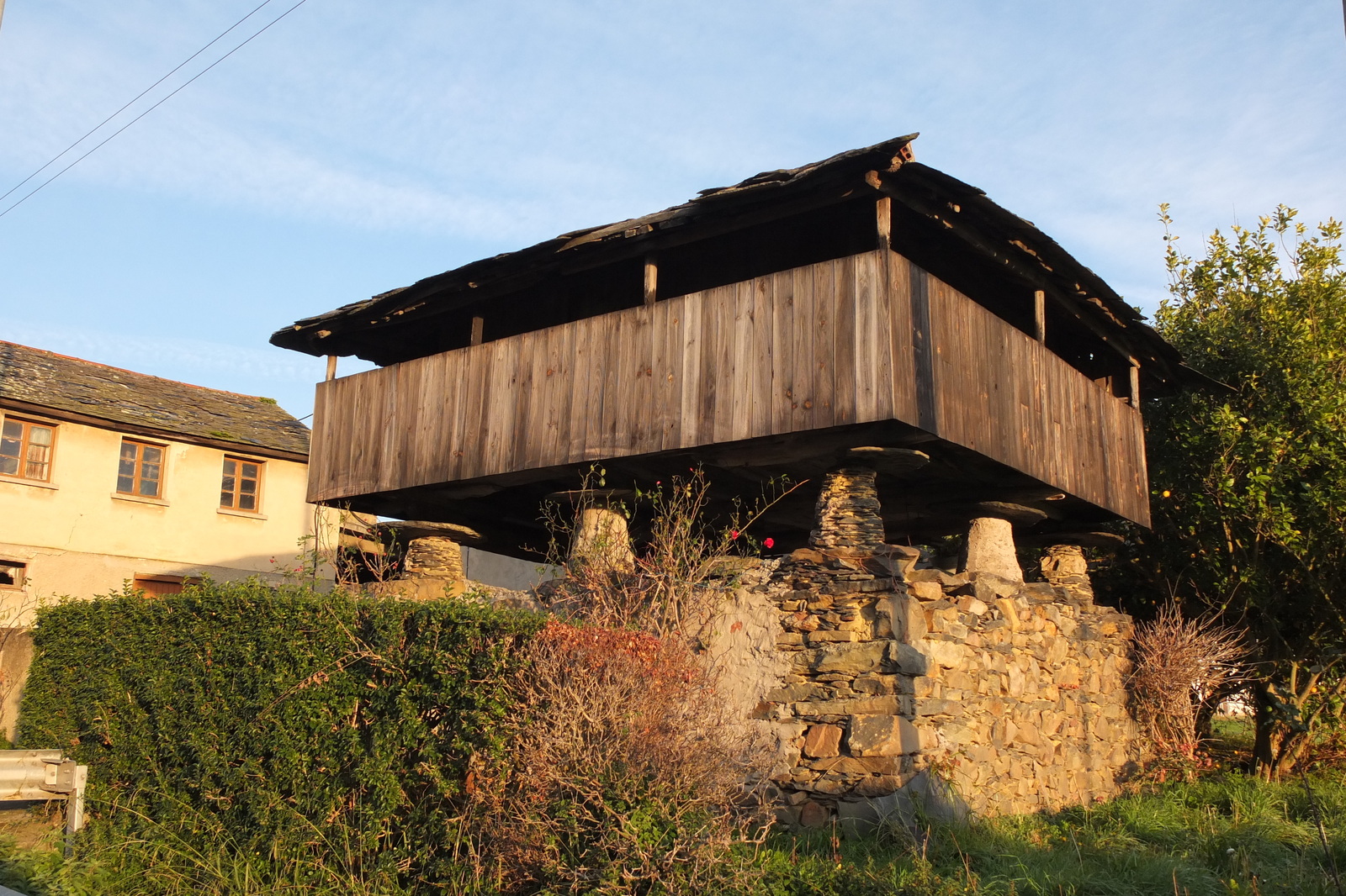 รูปถ่าย สเปน(Spain) อัสตูเรียส(Asturias) 2013-01 13