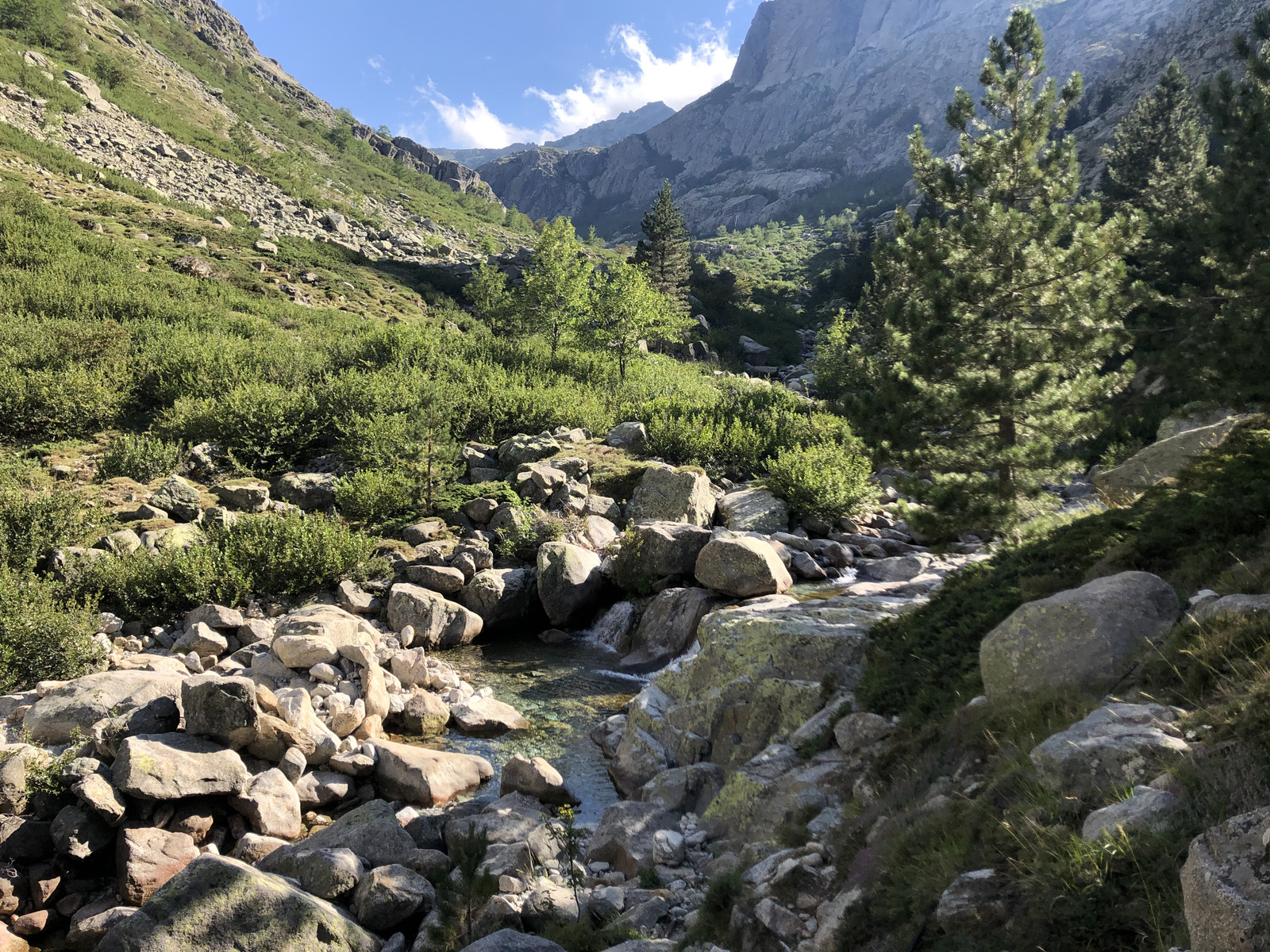 รูปถ่าย ฝรั่งเศส(France) คอร์สิคา(Corsica) หุบเขาลาเรสโตนีกา(La Restonica) 2020-07 30